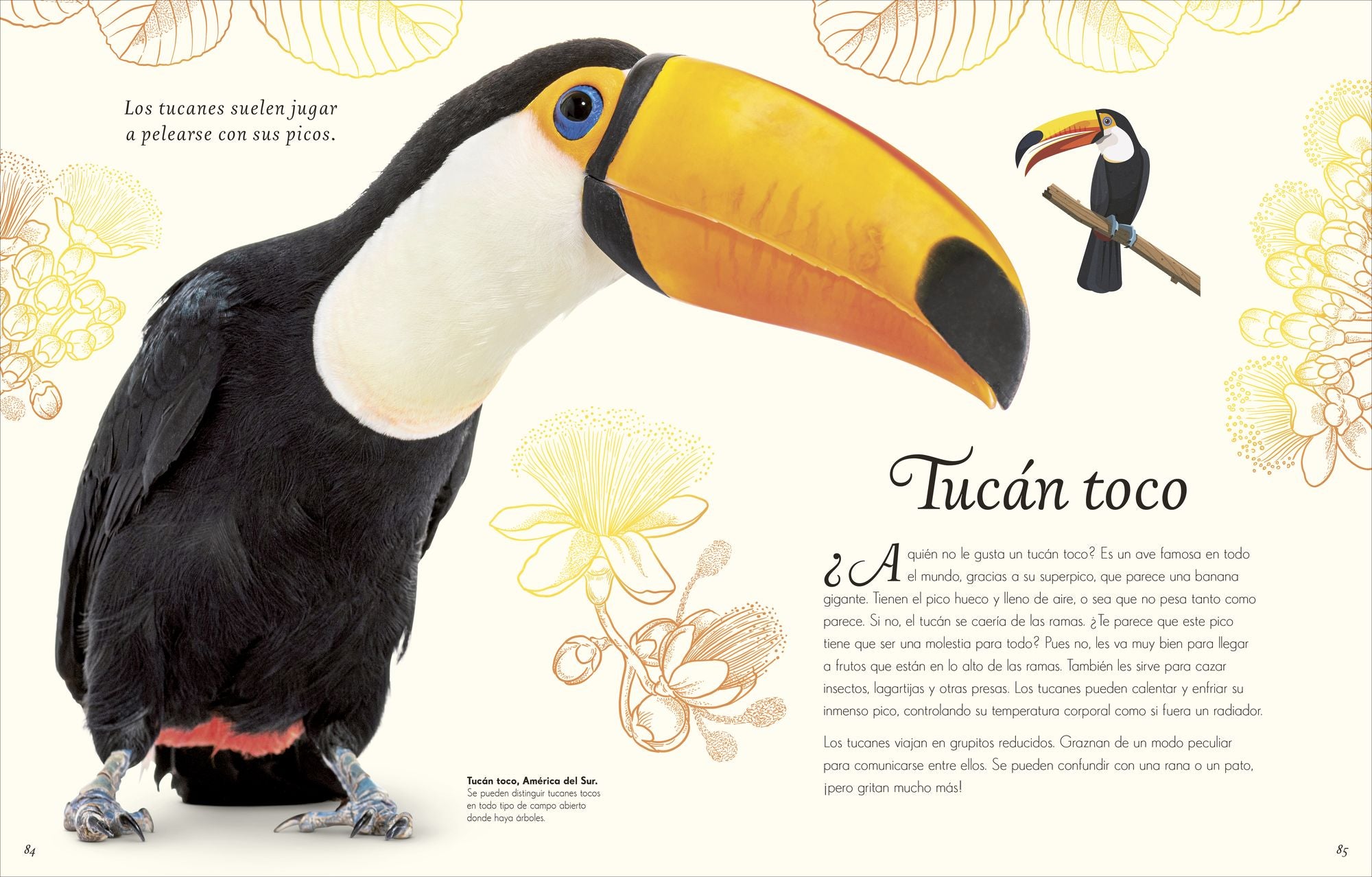 Antología de aves extraordinarias (An Anthology of Exquisite Birds)