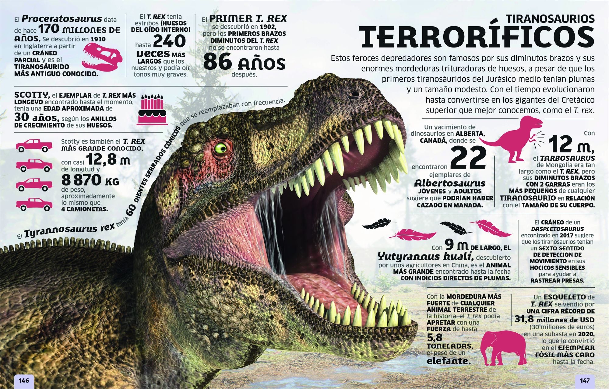 El mundo en números: Dinosaurios (Our World in Numbers Dinosaurs)