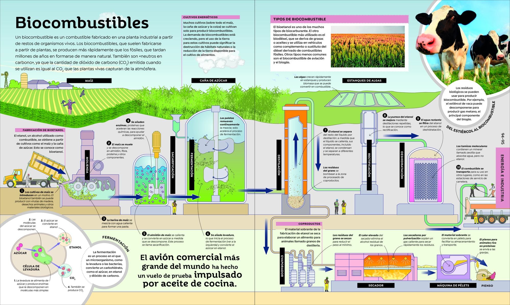 Cómo funciona la tecnología (How Technology Works)