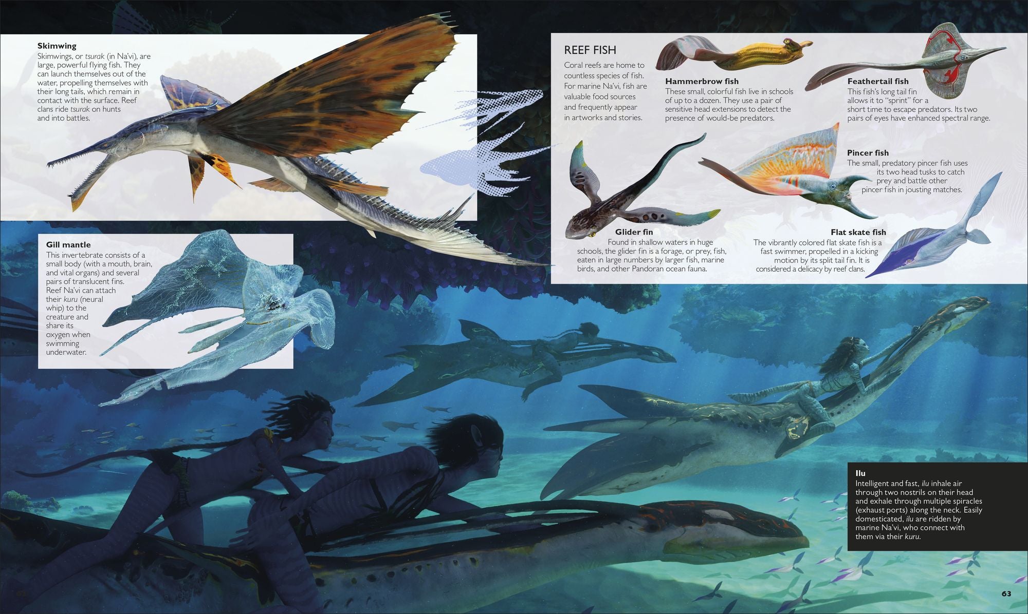 The World of Avatar Updated Edition