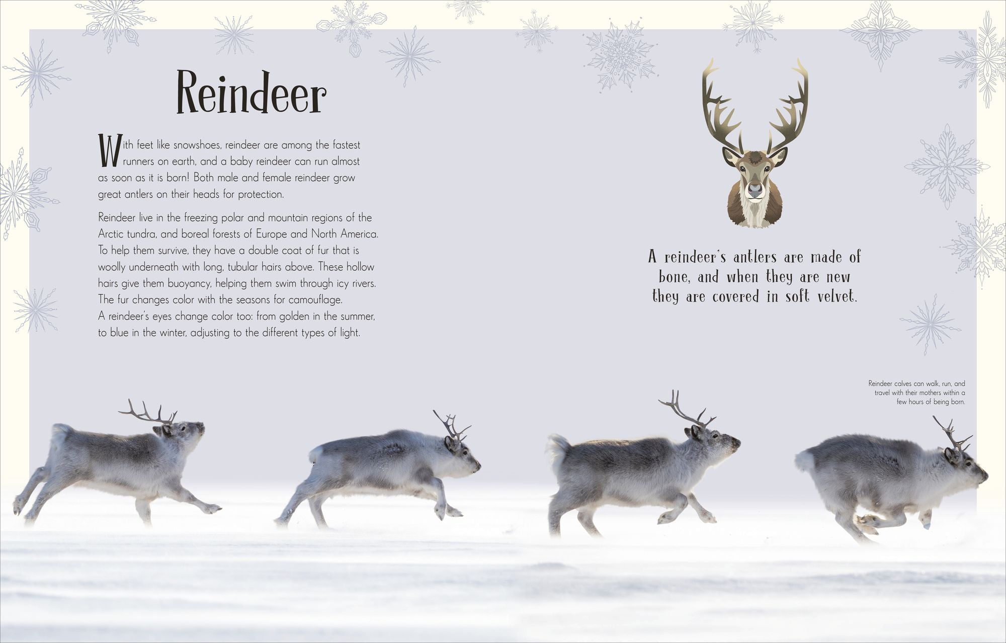 An Anthology of Christmas
