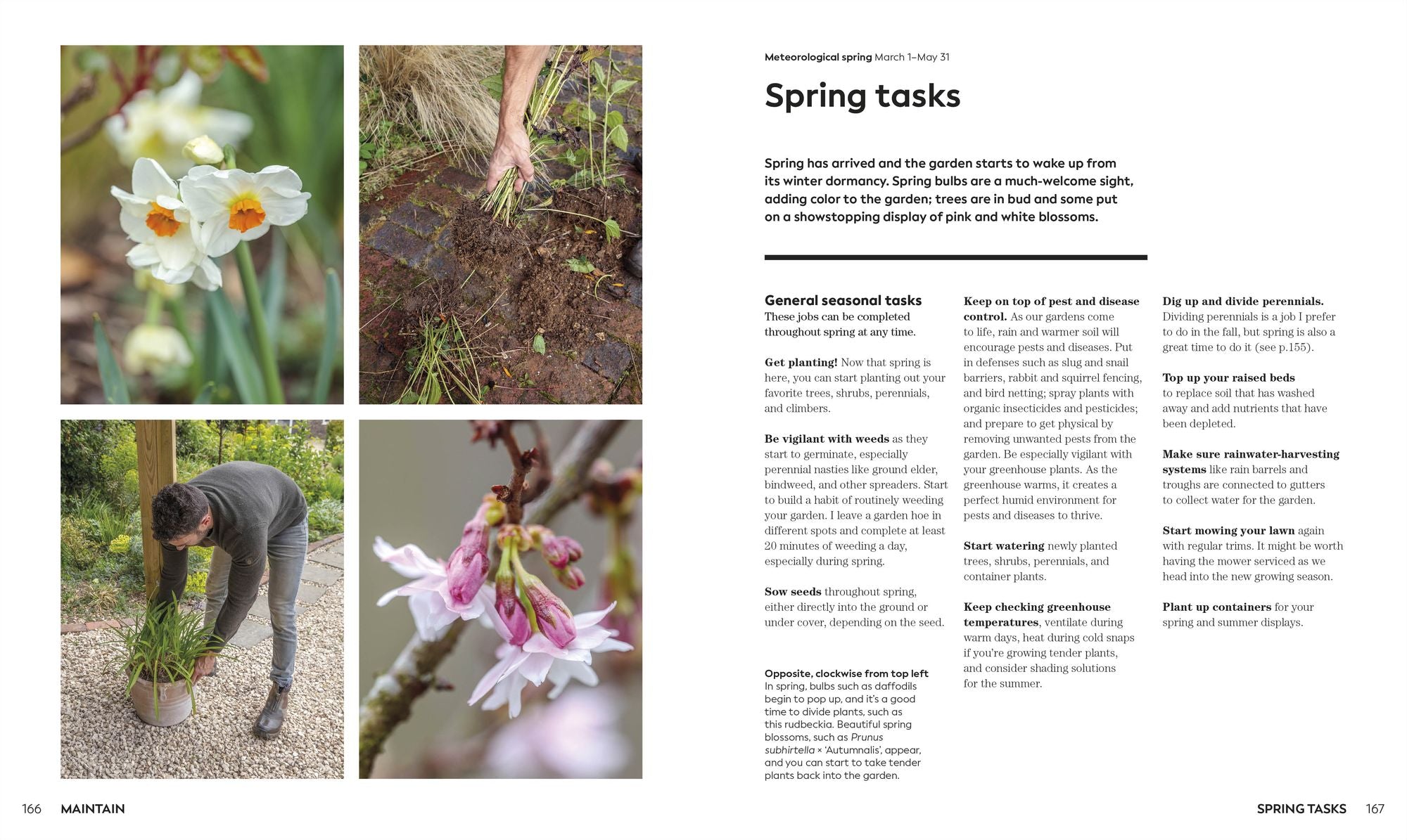 The Weekend Gardener: Weekend Projects and Everyday Inspiration for the Busy Gardener