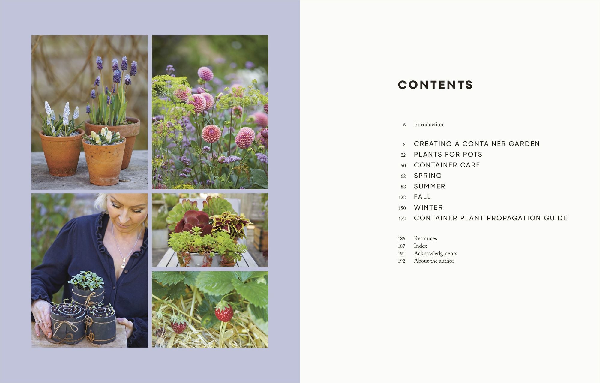 The Money-Saving Gardener Containers: How to Create a Year-round Container Garden for Less