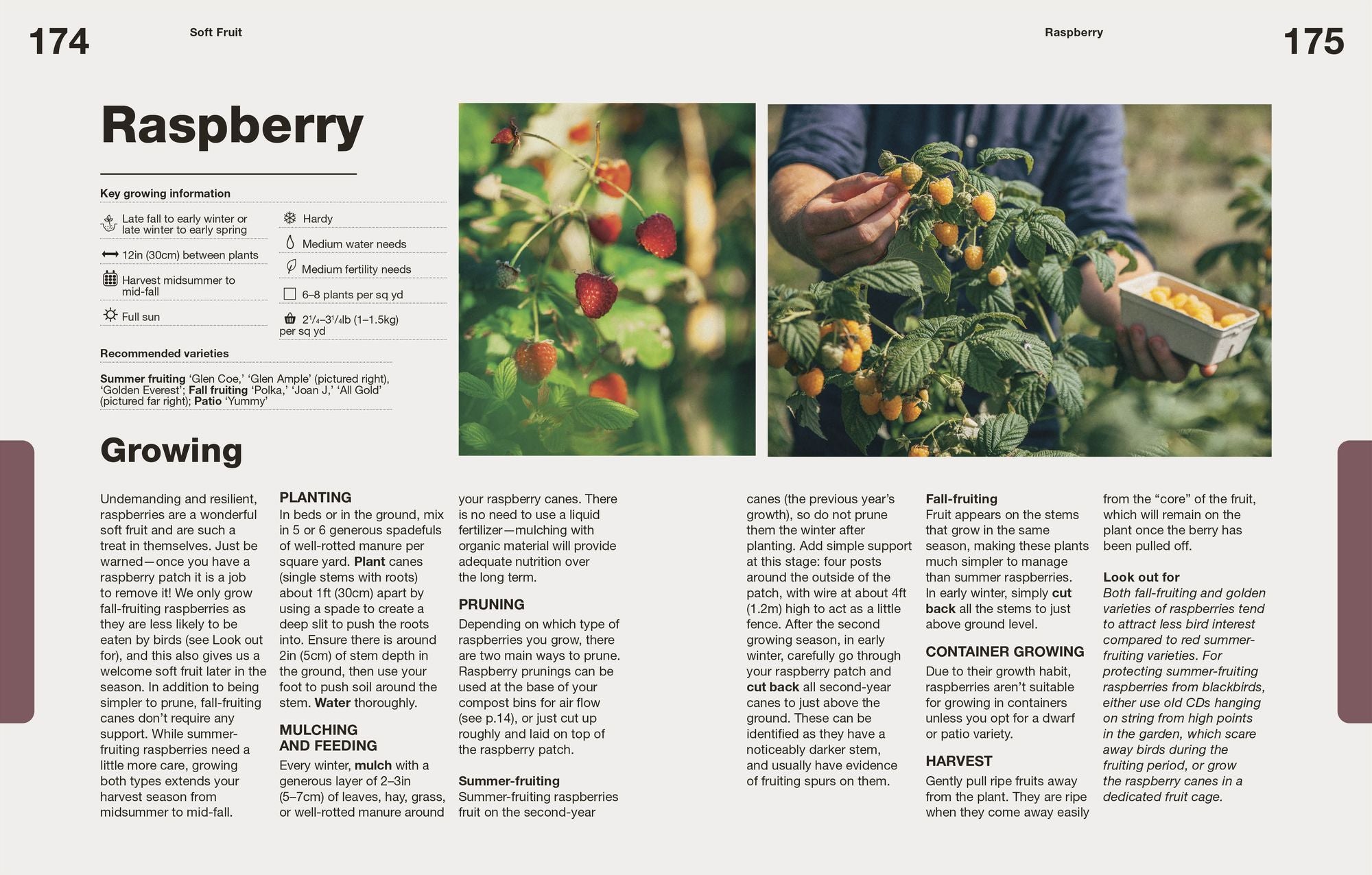 How to Grow Food: Your Crop-by-Crop Guide to Growing, Cooking, & Preserving