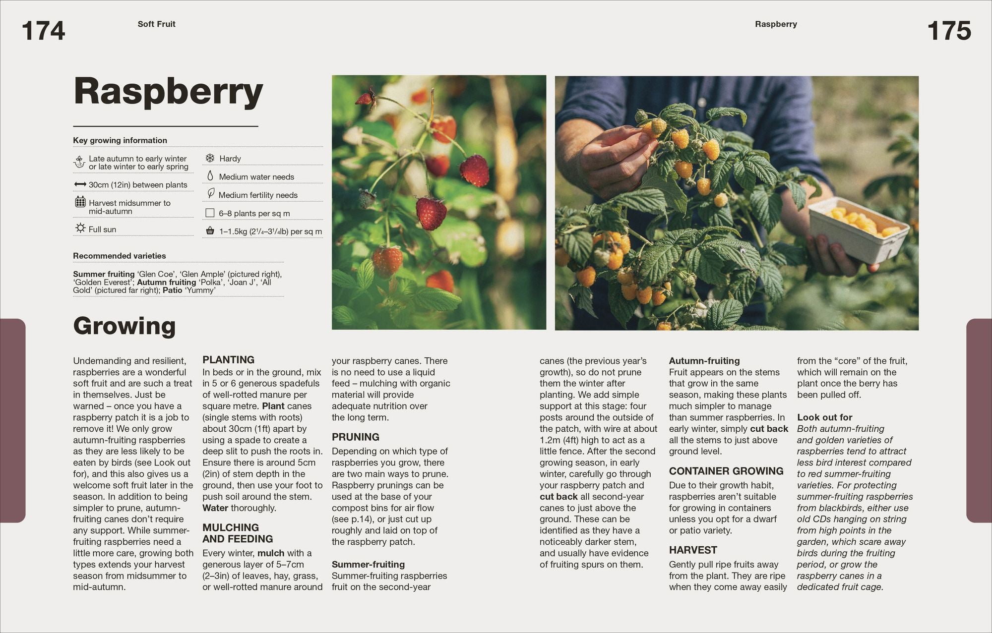 How to Grow Food: Your Crop-by-Crop Guide to Growing, Cooking, & Preserving