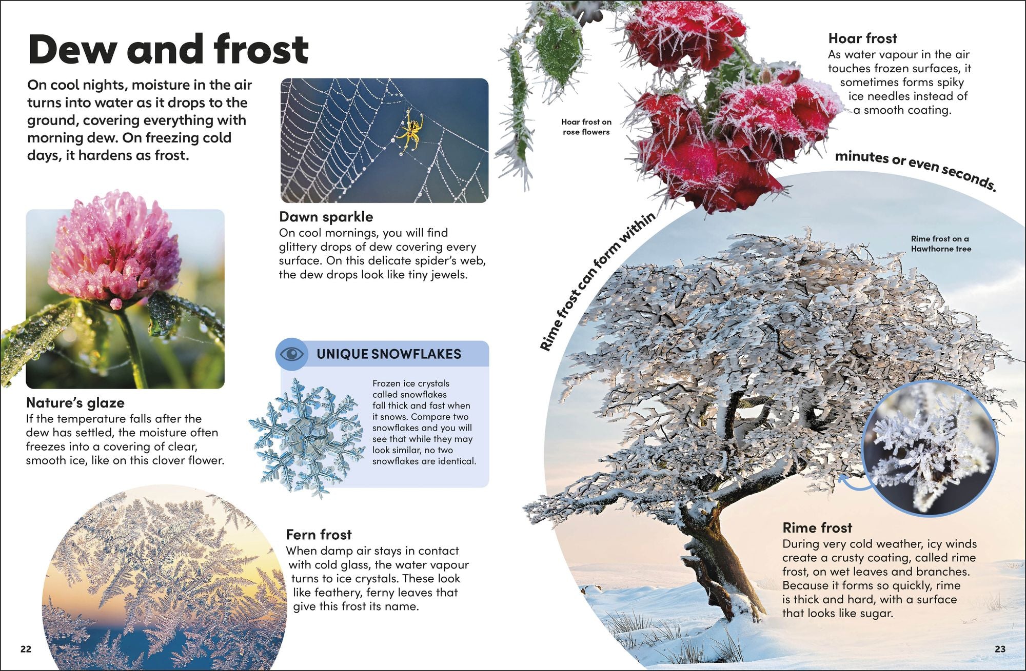 Eyewonder Weather: Open Your Eyes to a World of Discovery