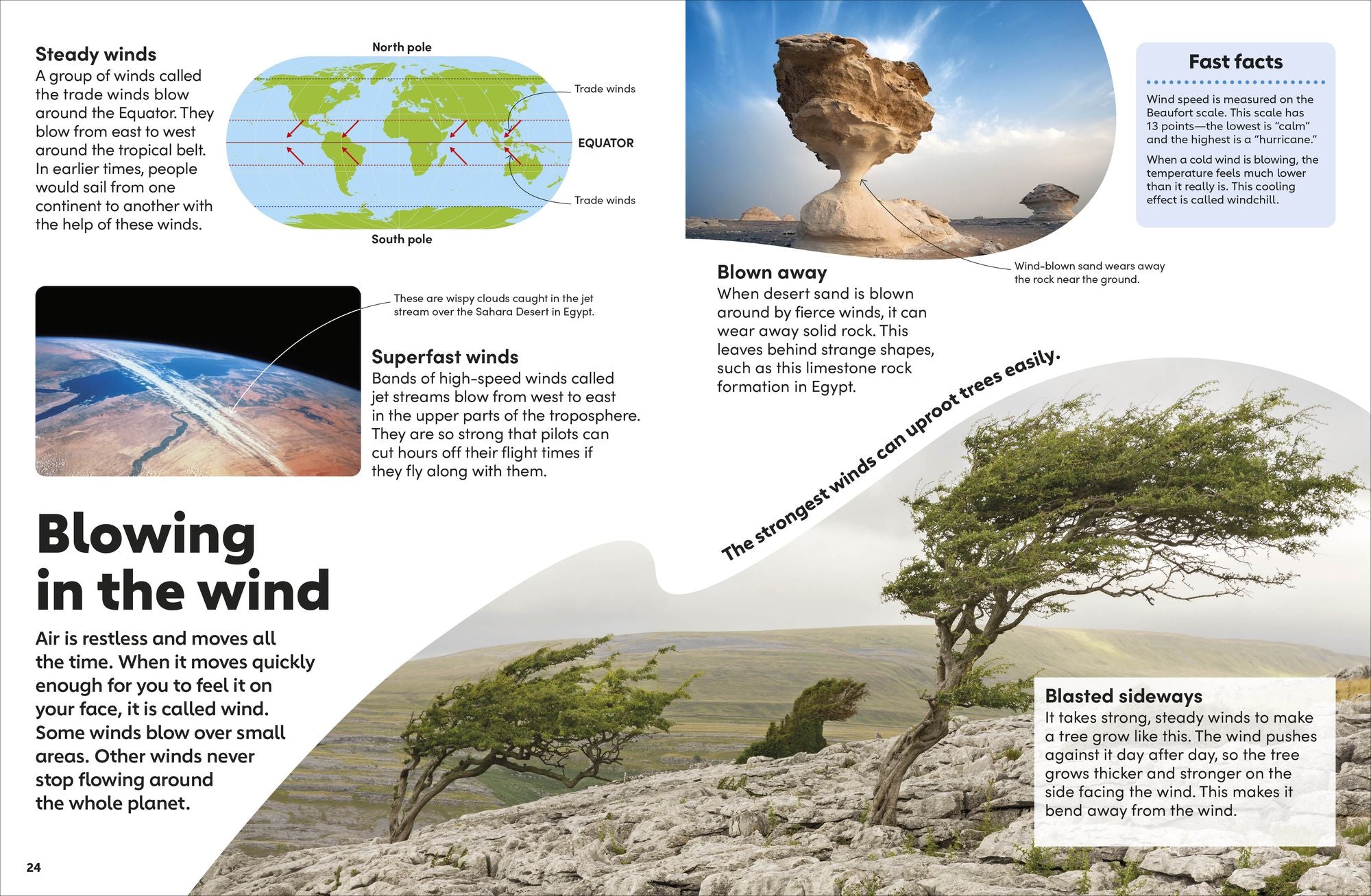 Eyewonder Weather: Open Your Eyes to a World of Discovery