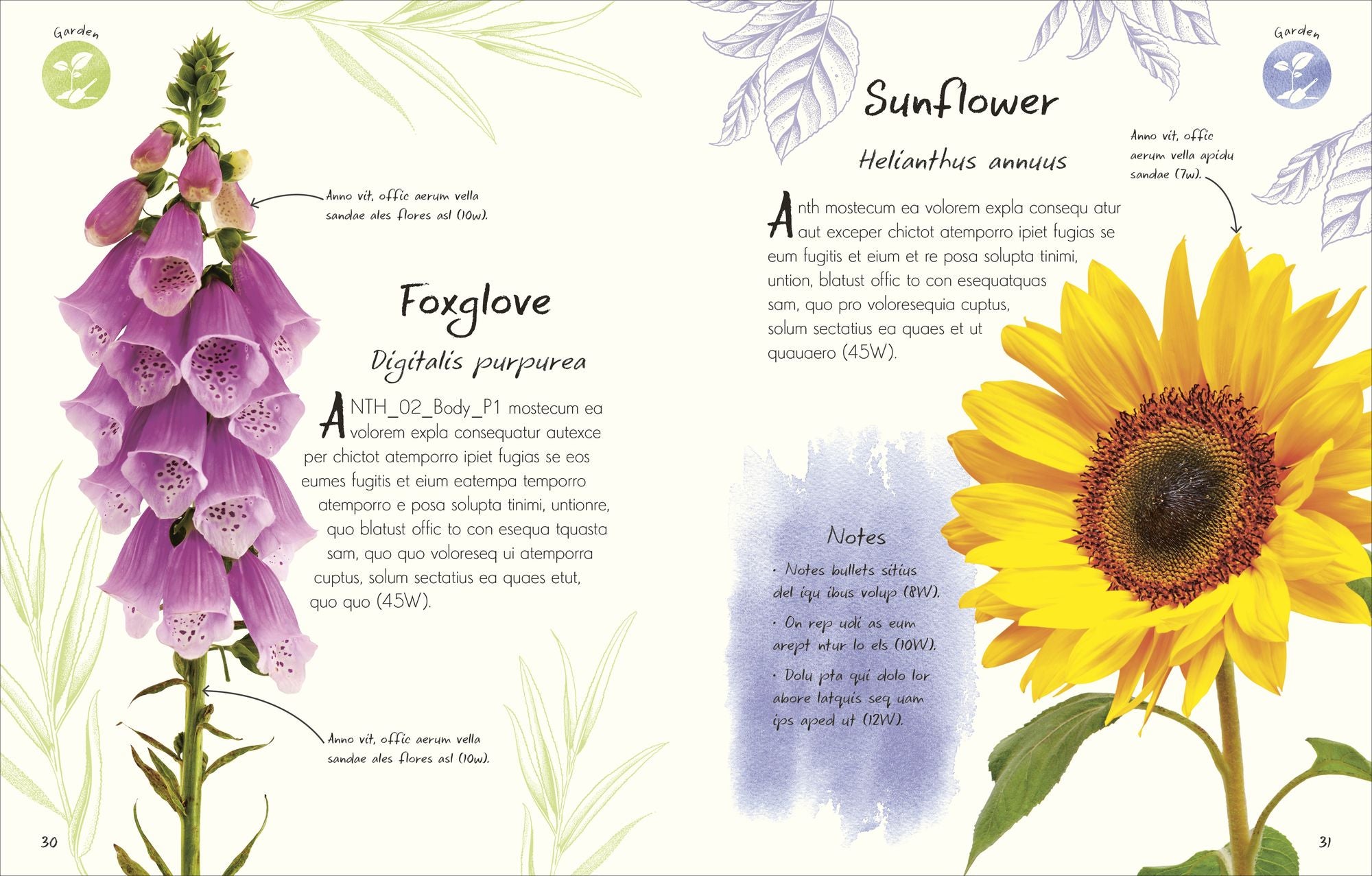 An Anthology of Flowers: A Collection of Flowers from Gardens, Mountains and More, with Fascinating Secrets