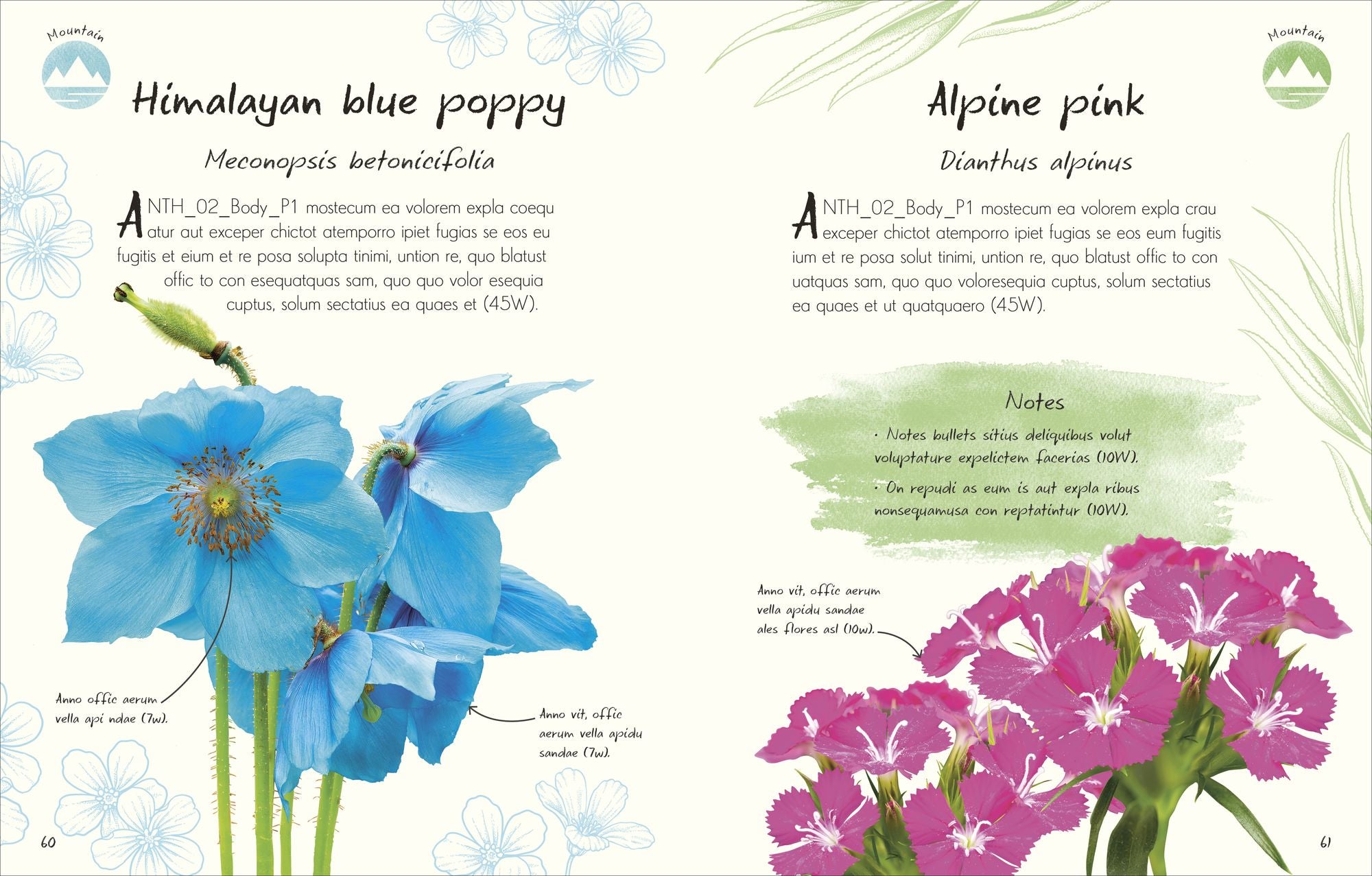 An Anthology of Flowers: A Collection of Flowers from Gardens, Mountains and More, with Fascinating Secrets