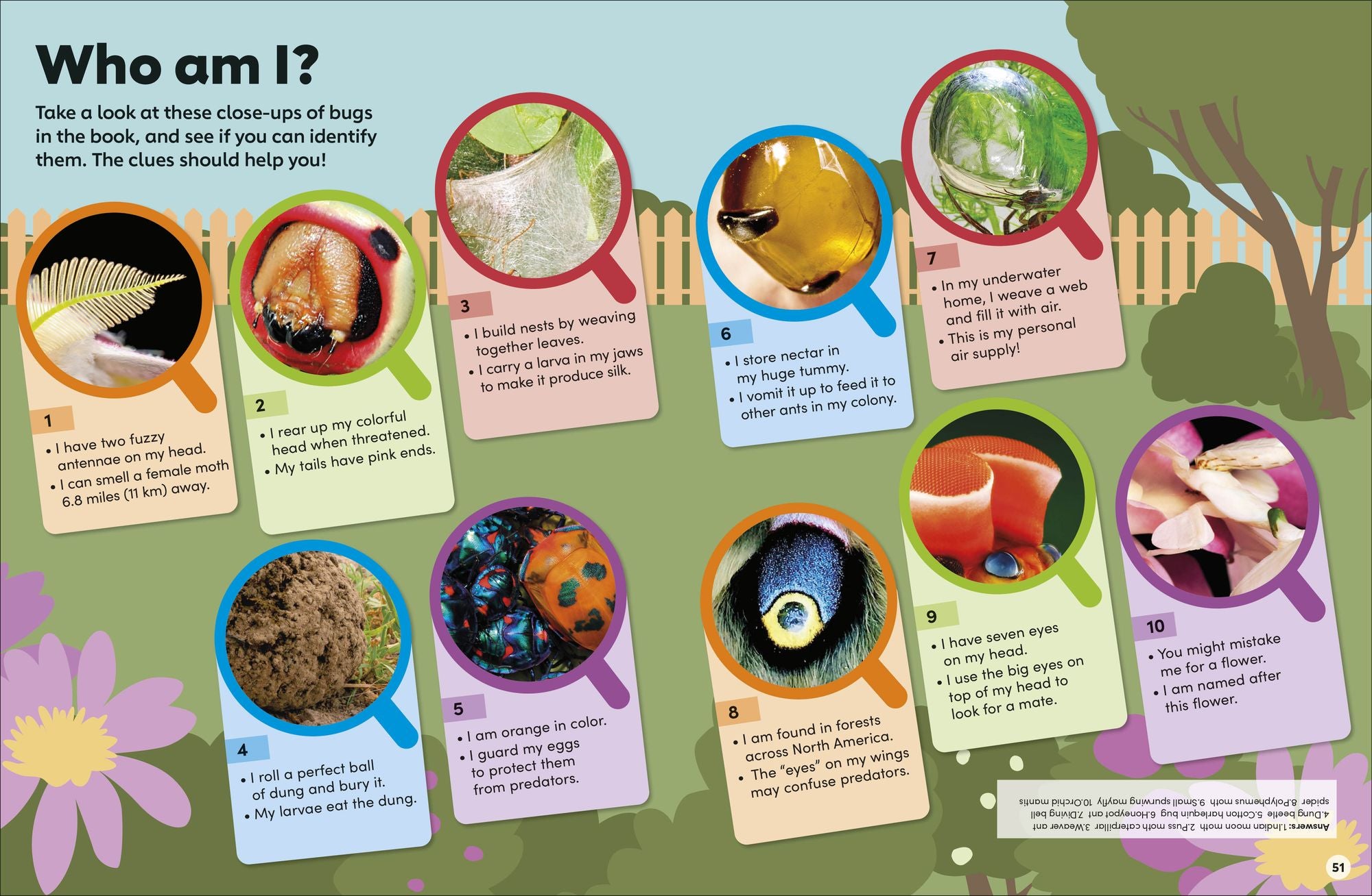 Eyewonder Bugs: Open Your Eyes to a World of Discovery