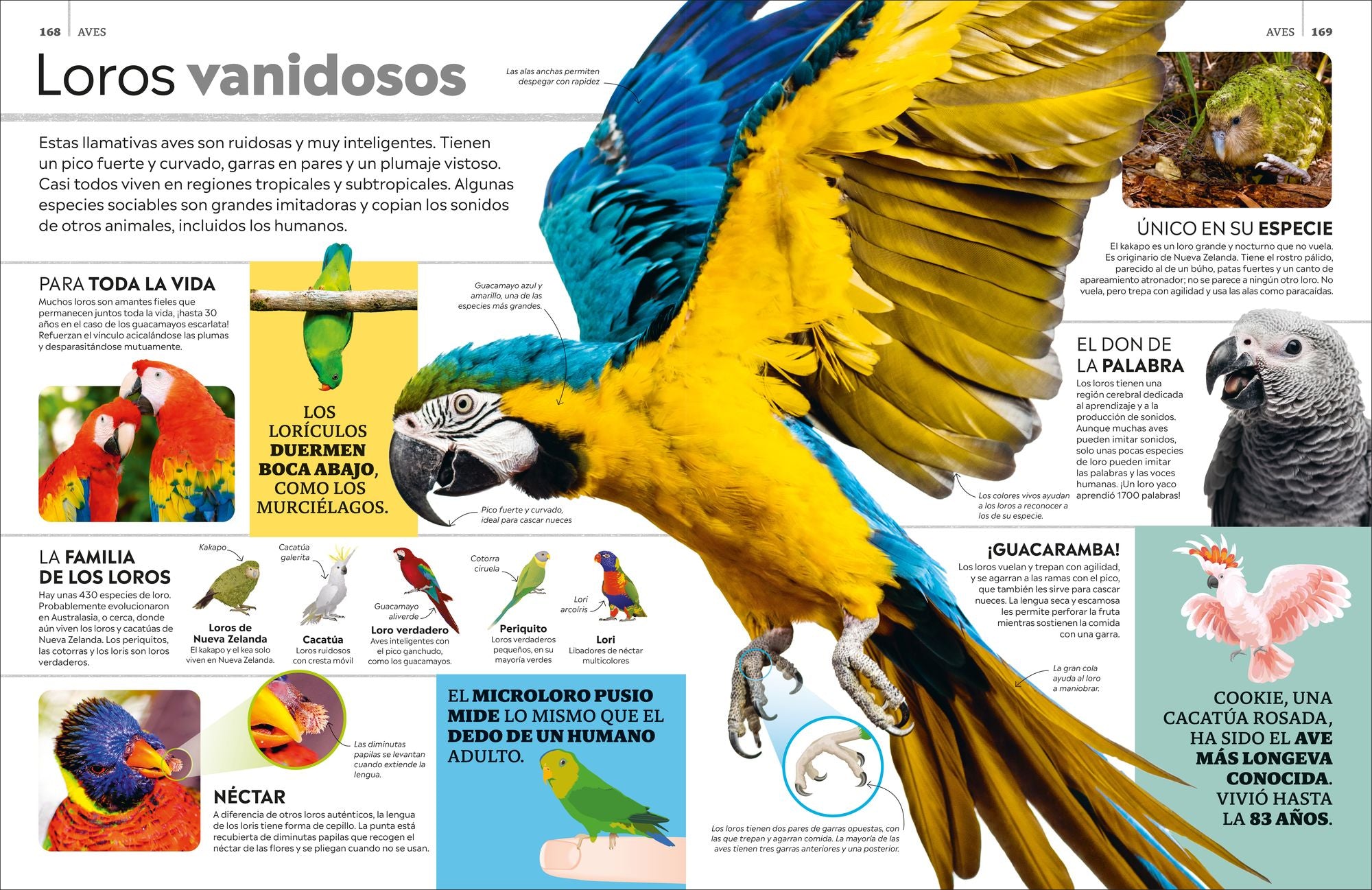 Eyewitness La enciclopedia de animales (en español)