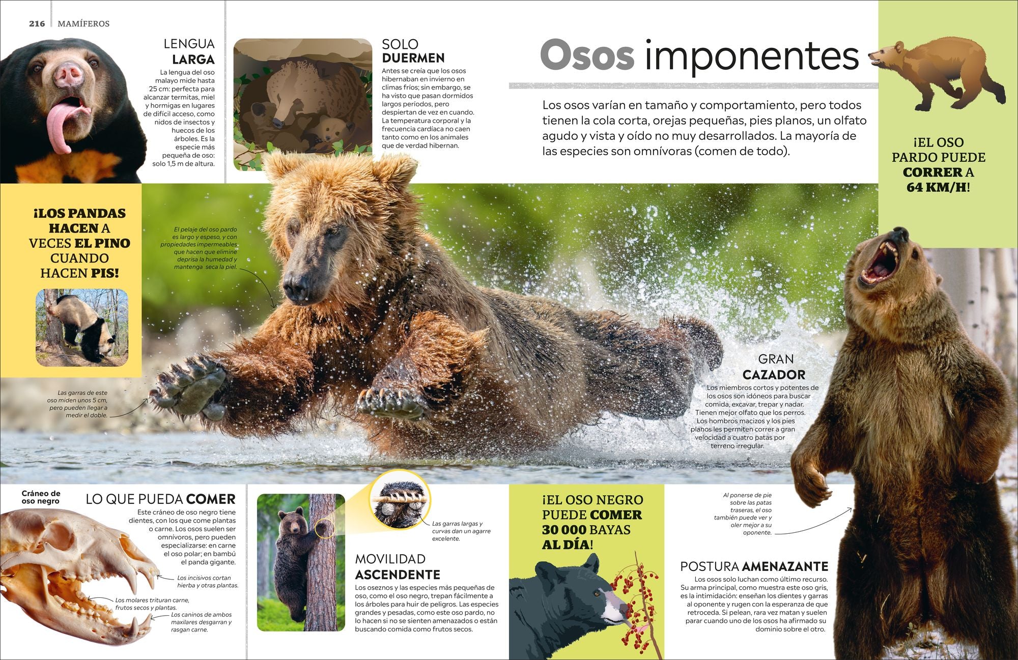 Eyewitness La enciclopedia de animales (en español)