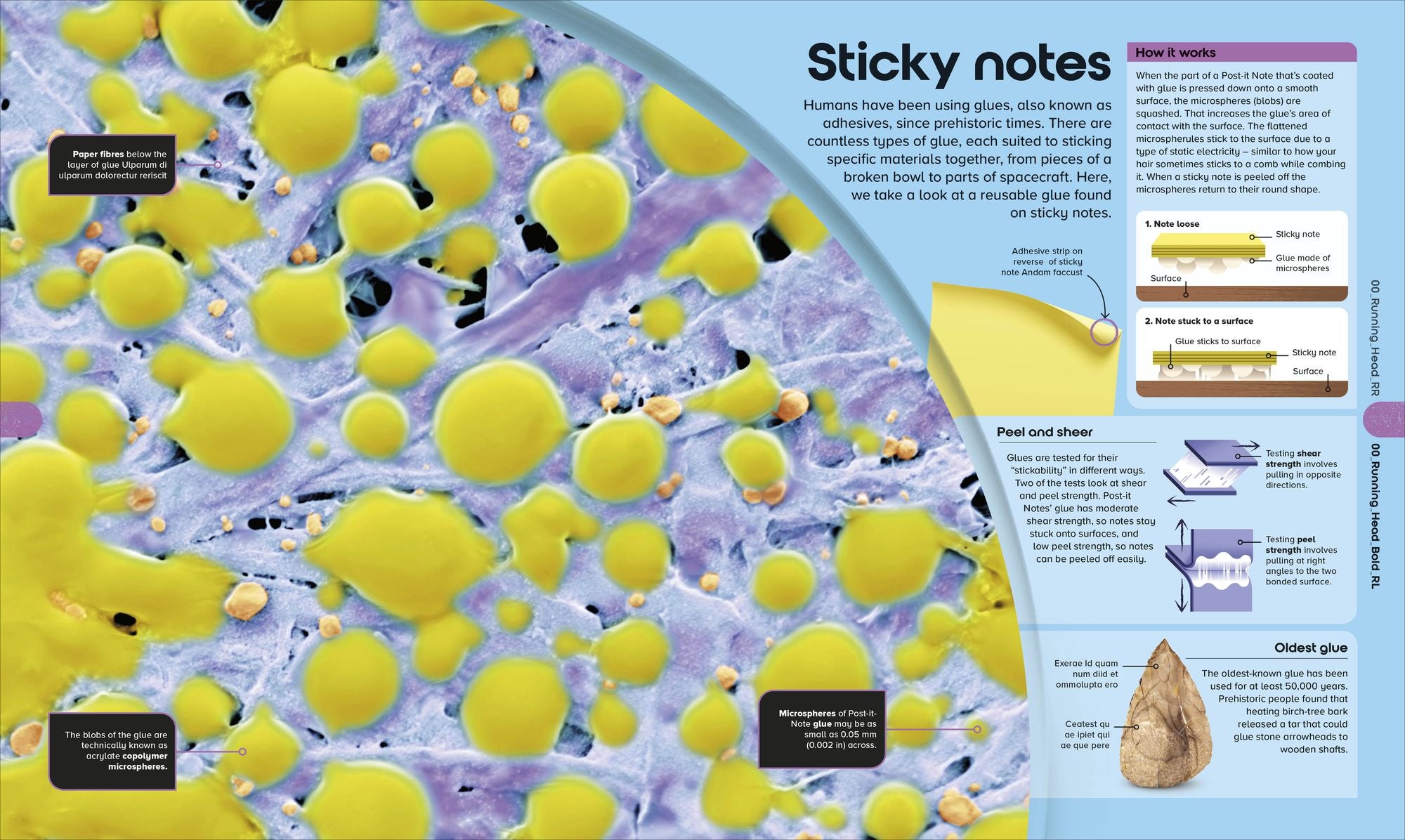 The Miniverse: Discover an Astonishing World Under the Microscope