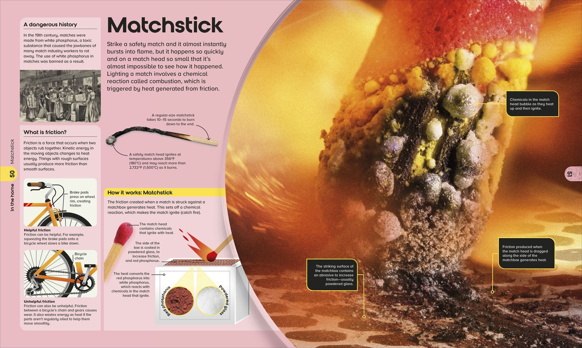The Miniverse: Discover an Astonishing World Under the Microscope