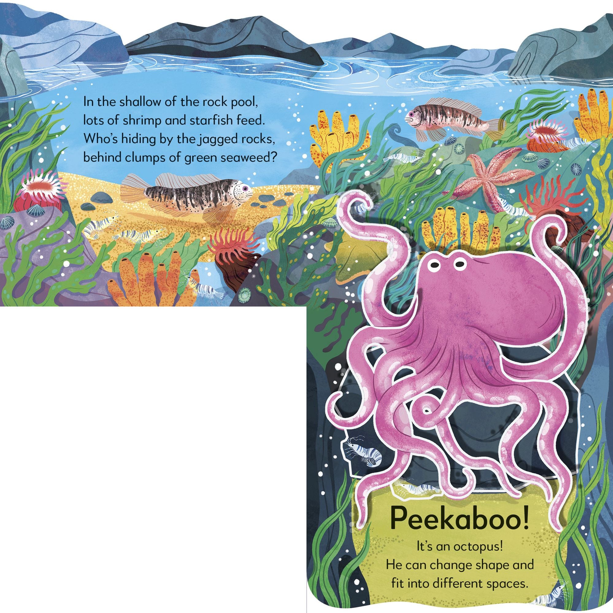 Pop-Up Peekaboo! Seashore: A Beachy Surprise Under Every Flap!
