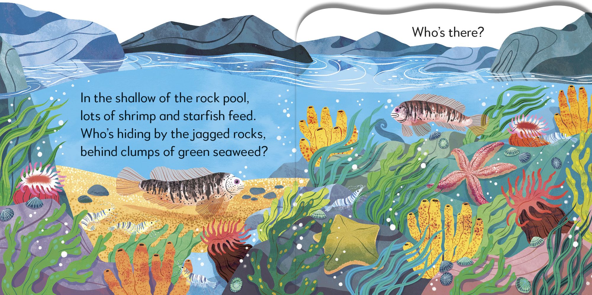 Pop-Up Peekaboo! Seashore: A Beachy Surprise Under Every Flap!