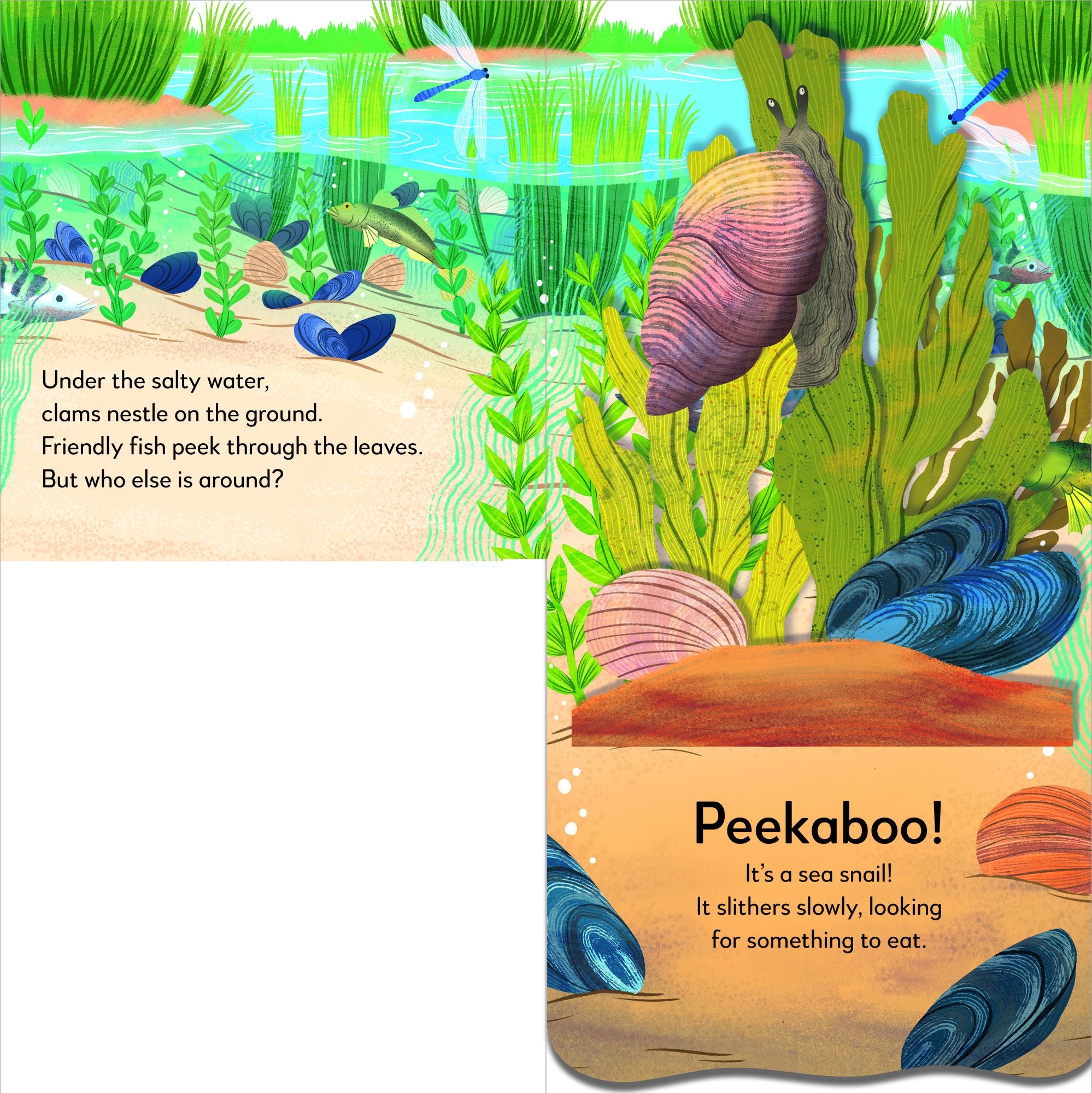Pop-Up Peekaboo! Seashore: A Beachy Surprise Under Every Flap!