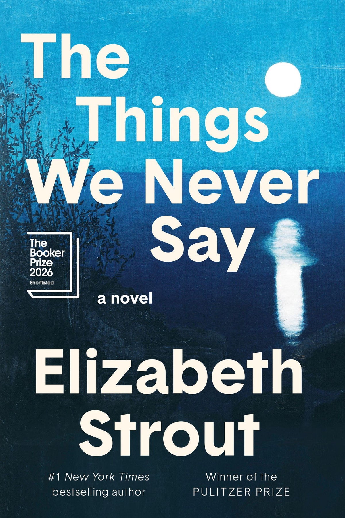 The Things We Never Say: A Novel