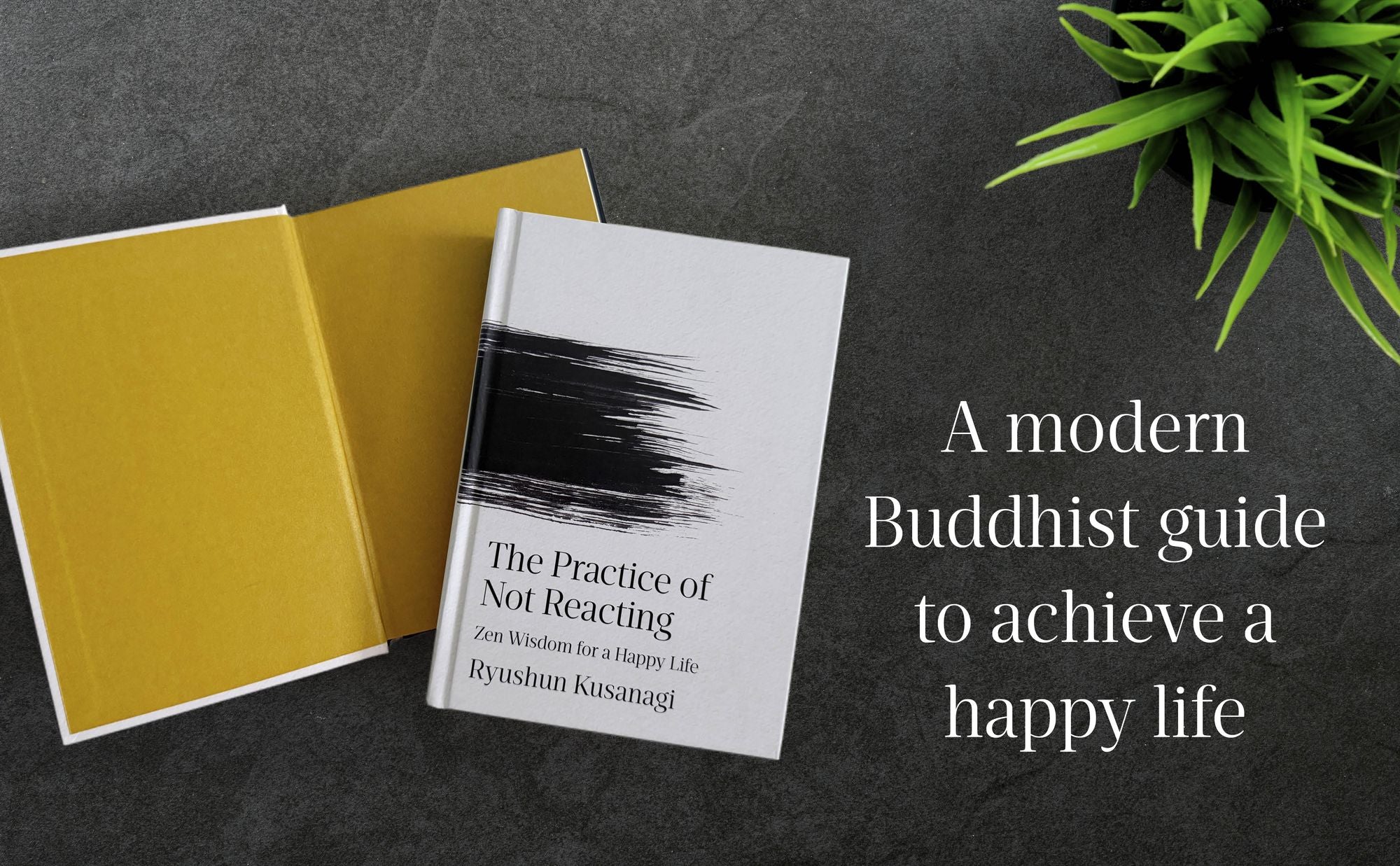 The Practice of Not Reacting: Zen Wisdom for a Happy Life