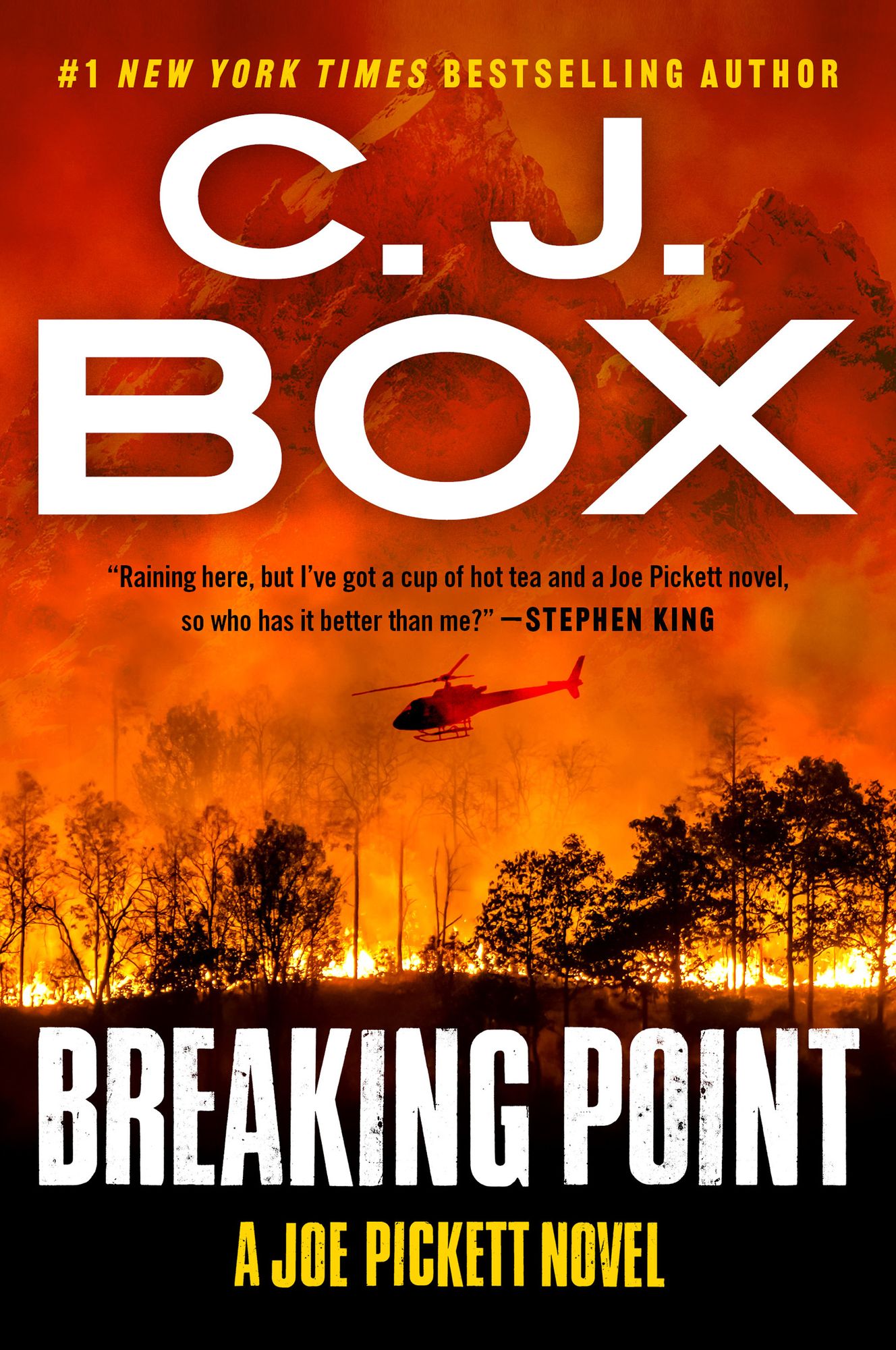 Breaking Point (Joe Pickett Series #13)