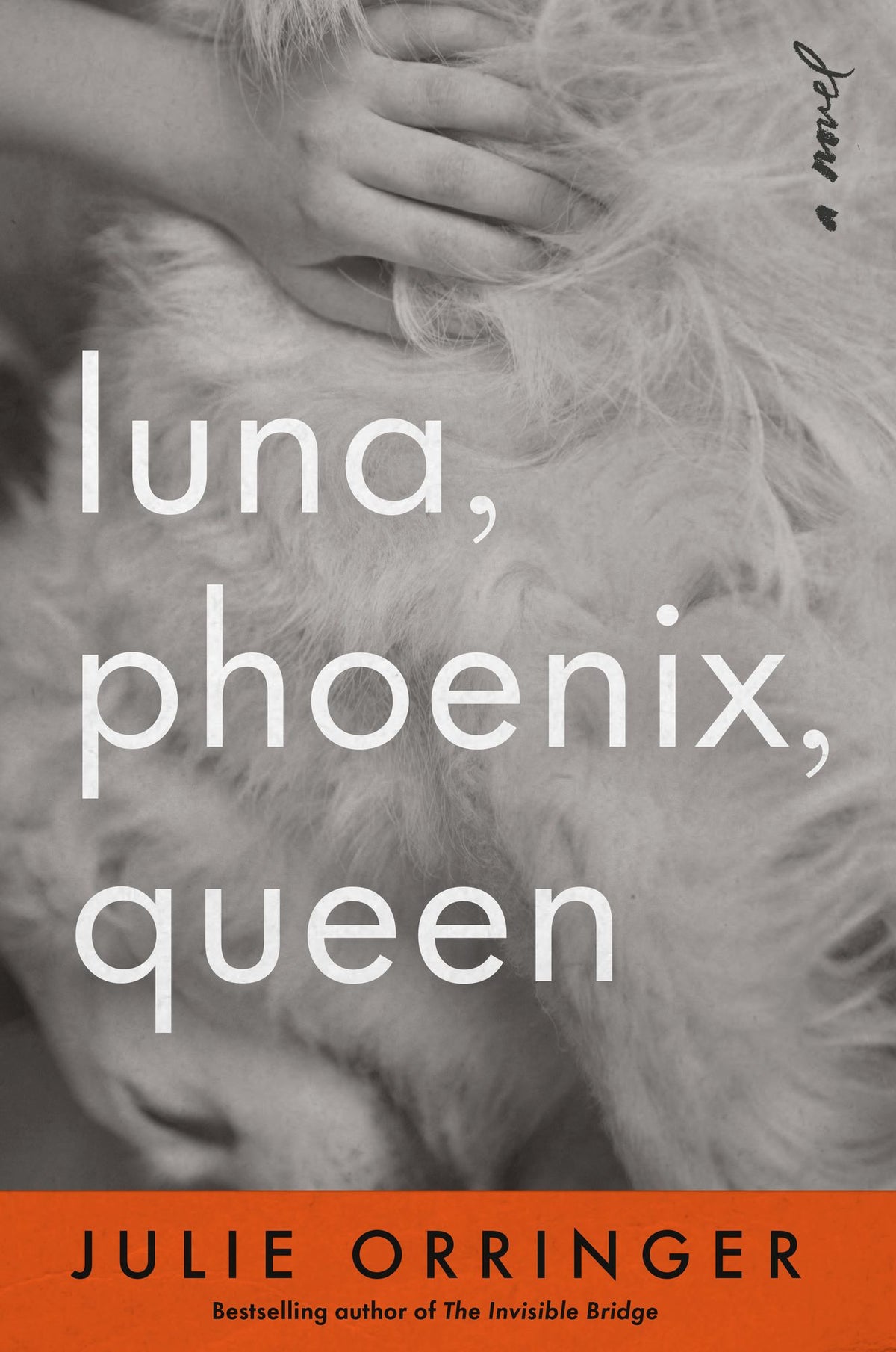 Luna, Phoenix, Queen: A Novel