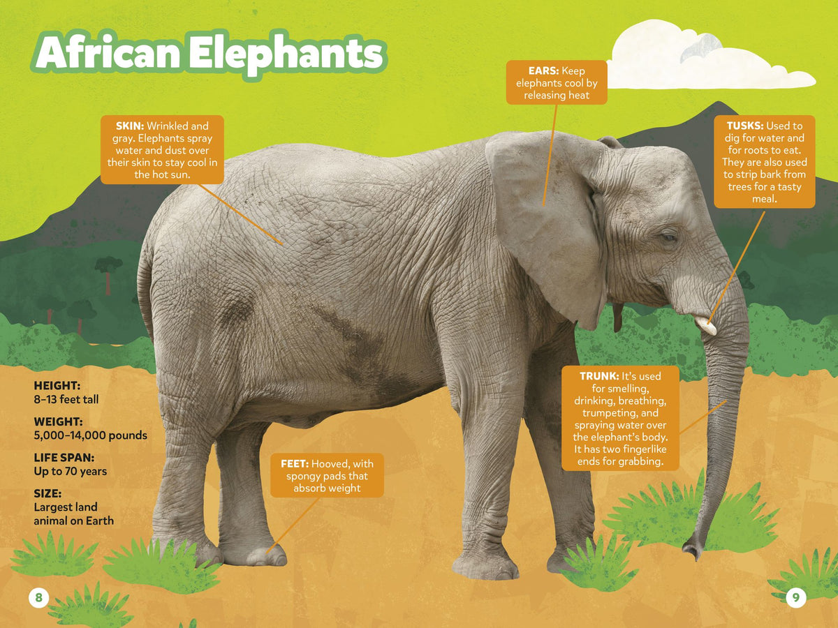 Great Migrations Collection (National Geographic Kids Readers, Level 3): Four Books in One!