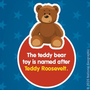 Weird But True! Know-It-All U.S. Presidents, Updated & Expanded