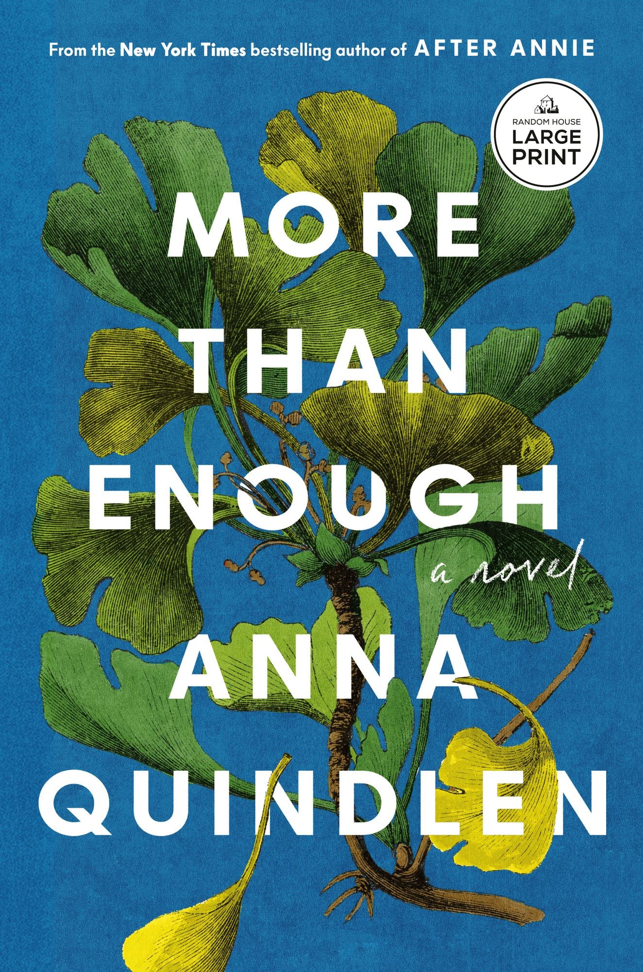 More Than Enough: A Novel
