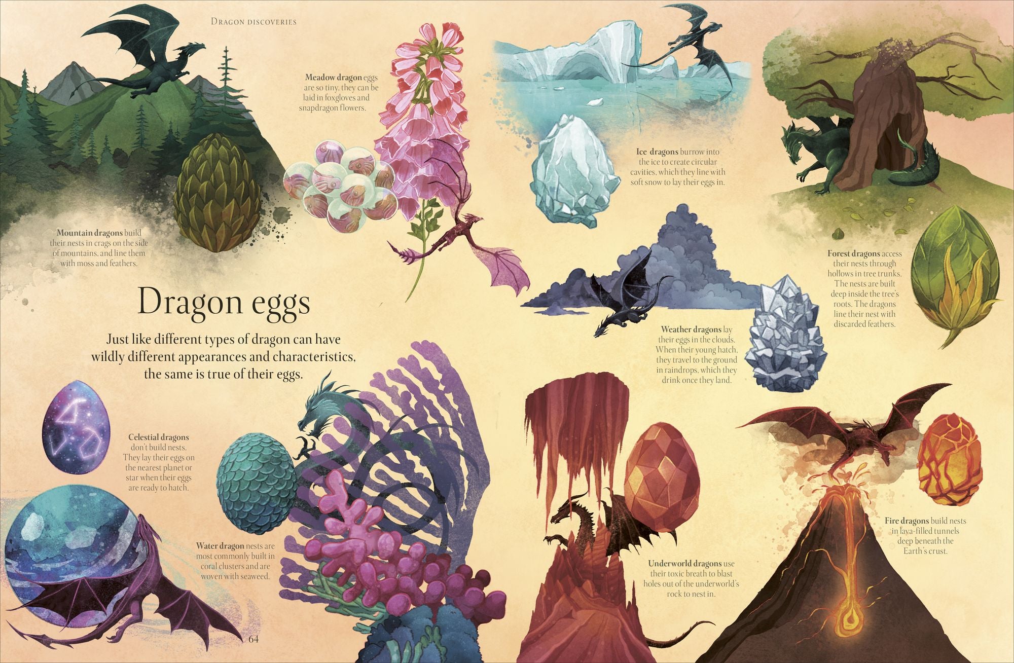 Dragon World: Meet the Fire-Breathing Beasts of Mythology