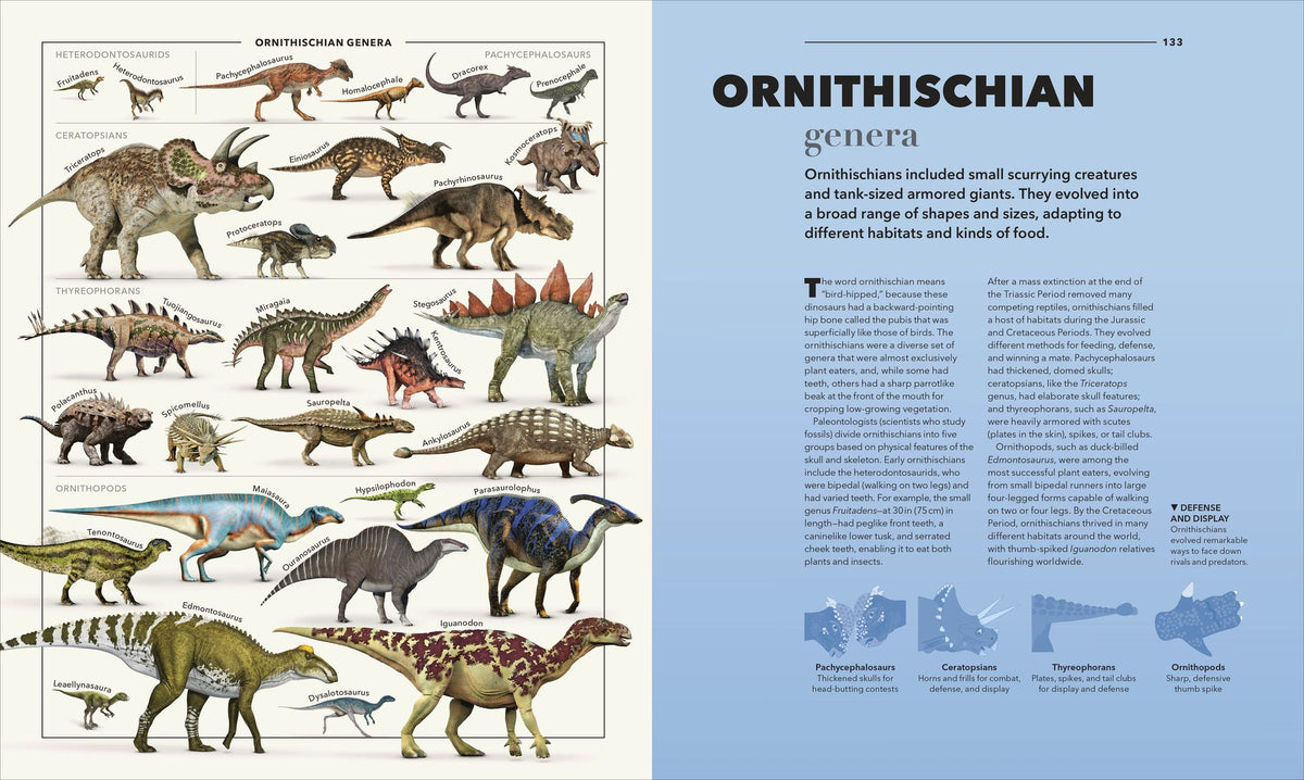 Animals A Visual Compendium: An Incredible Guide to the Animal Kingdom