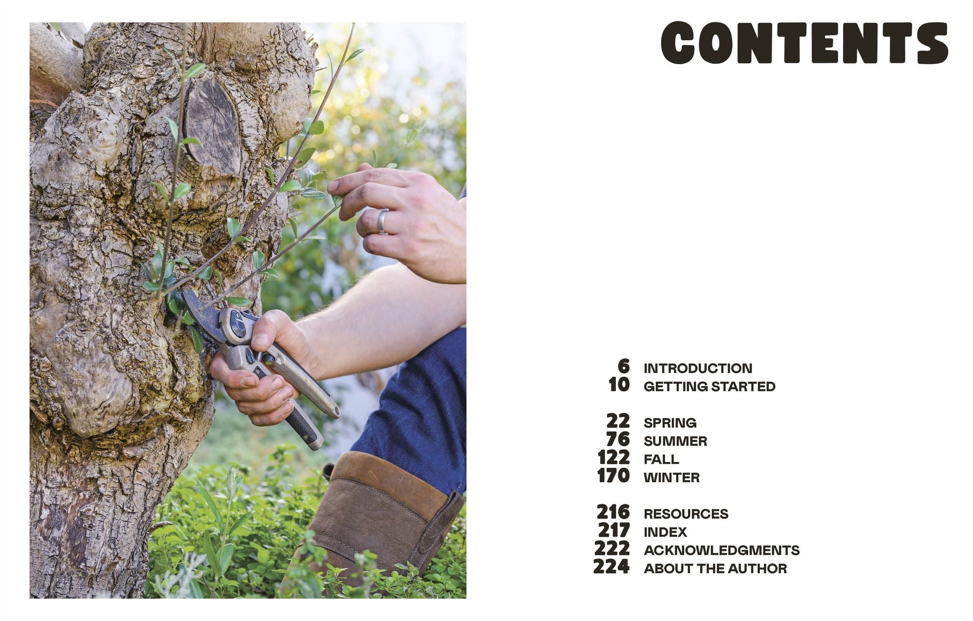 The Easy Garden: Month-by-Month Advice to Improve Your Outside Space