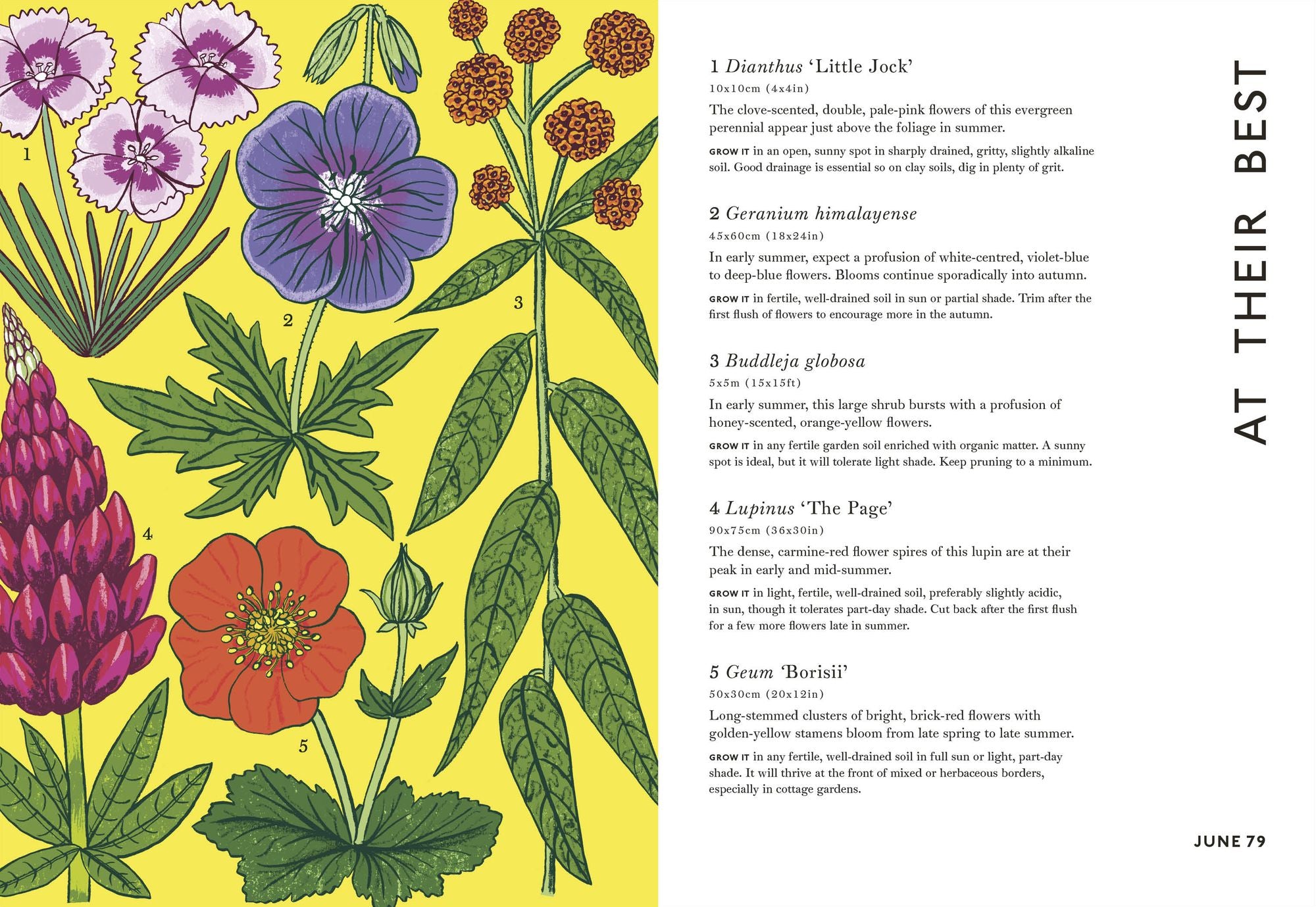 Your Gardening Year: What to Do When, Every Month of the Year