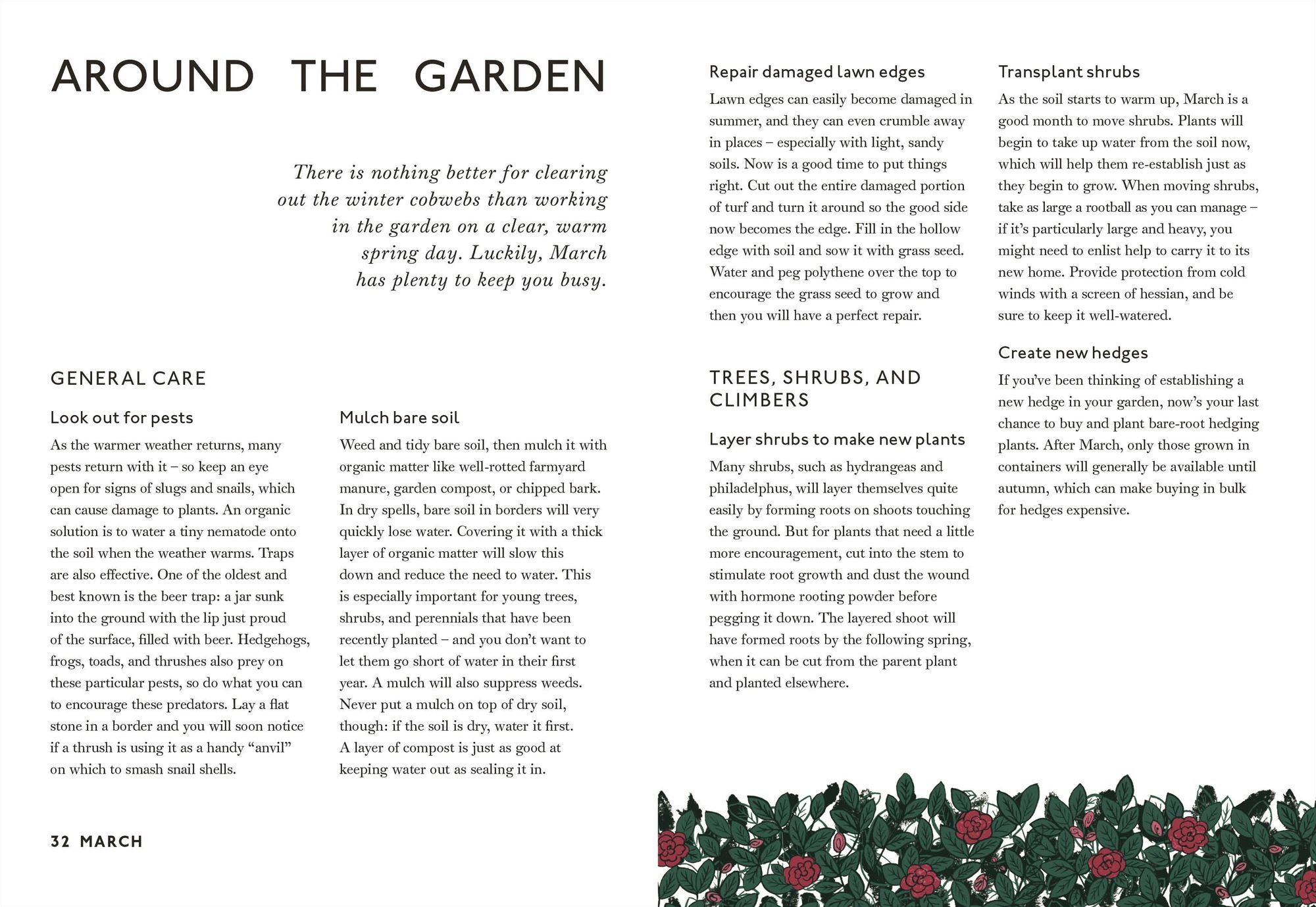 Your Gardening Year: What to Do When, Every Month of the Year