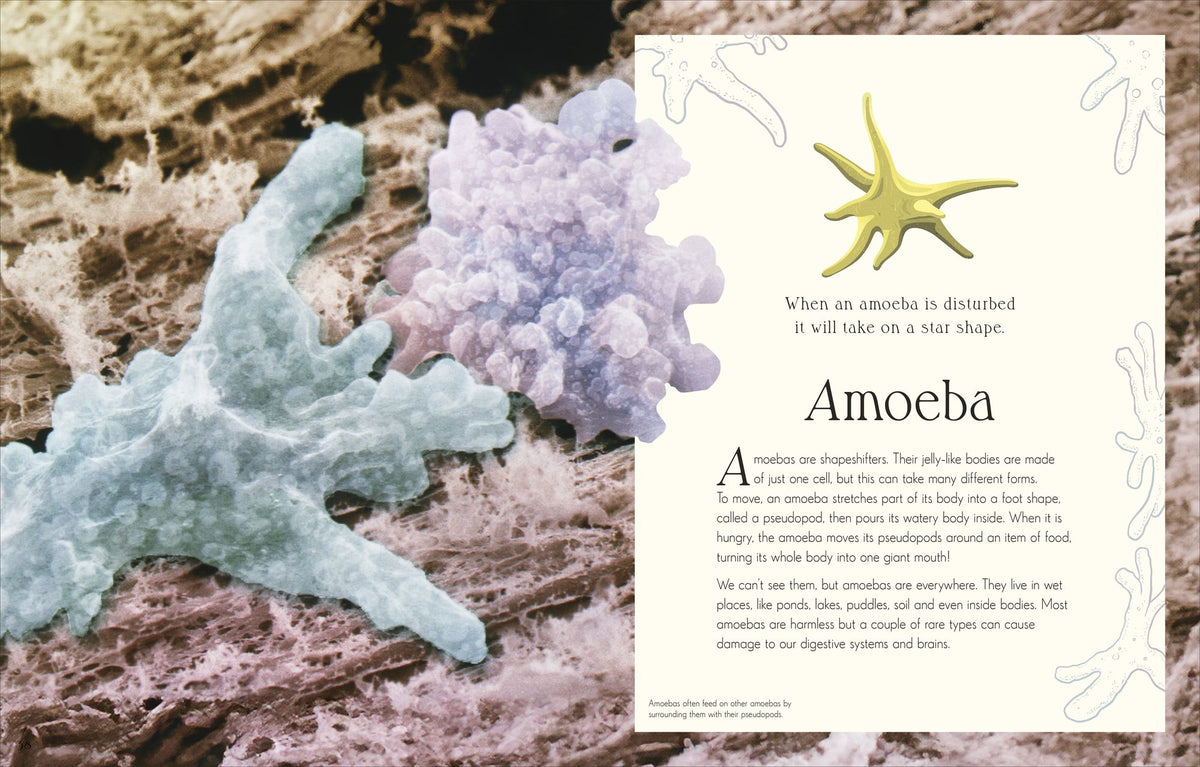 An Anthology of Micro Life: Discover the Stories of the Miniature World