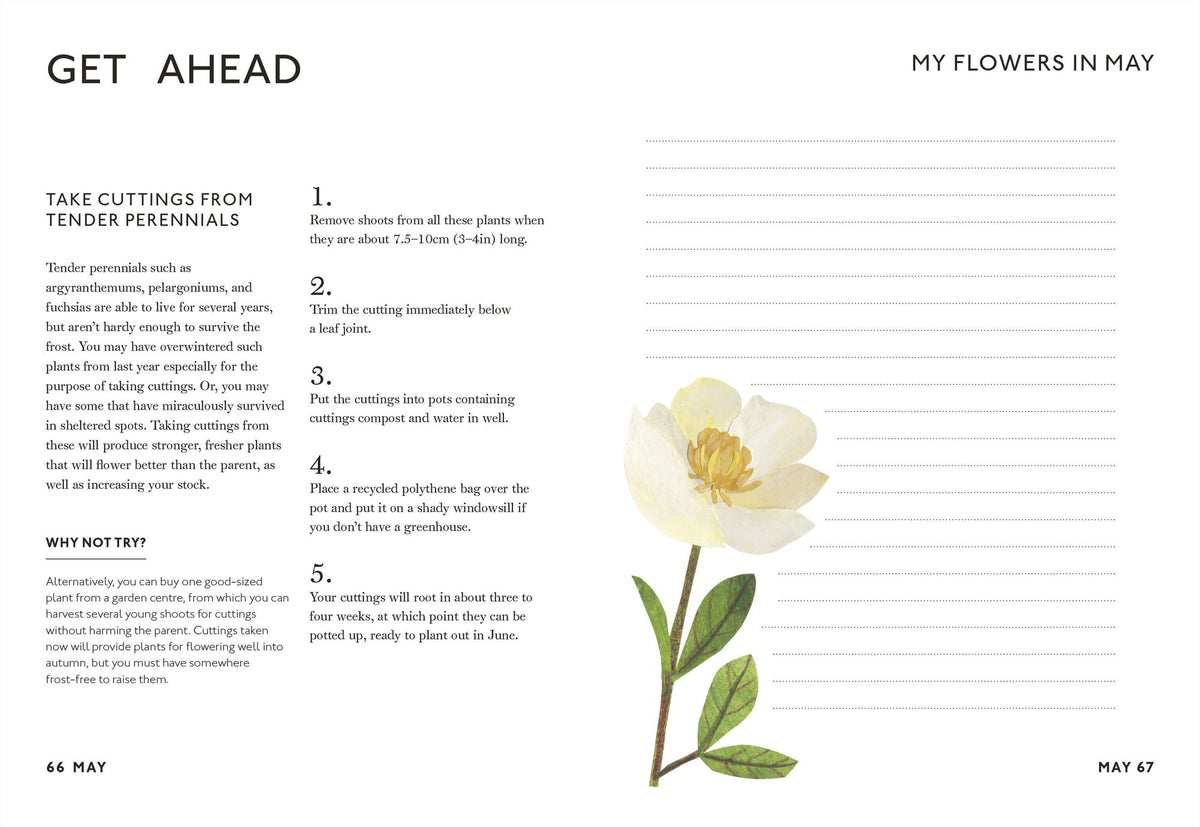 Your Flower Year: Blooms to Grow and Enjoy Every Month of the Year
