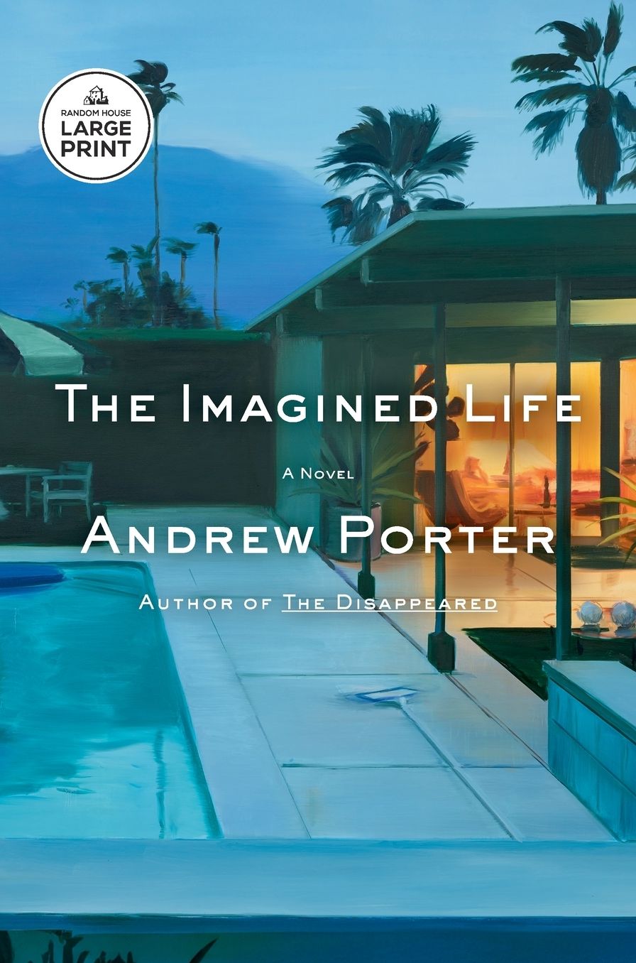 The Imagined Life: A Novel