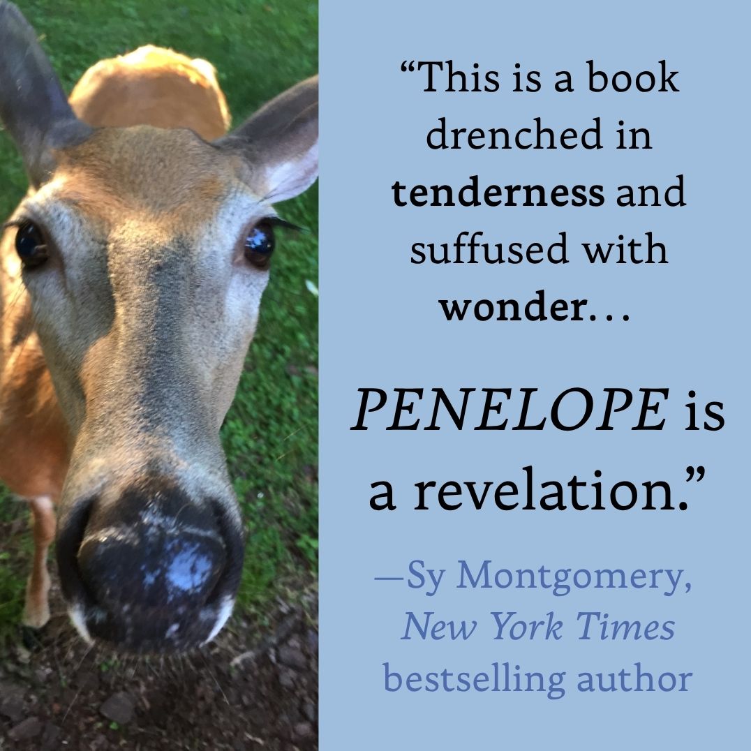 Penelope: A Love Story