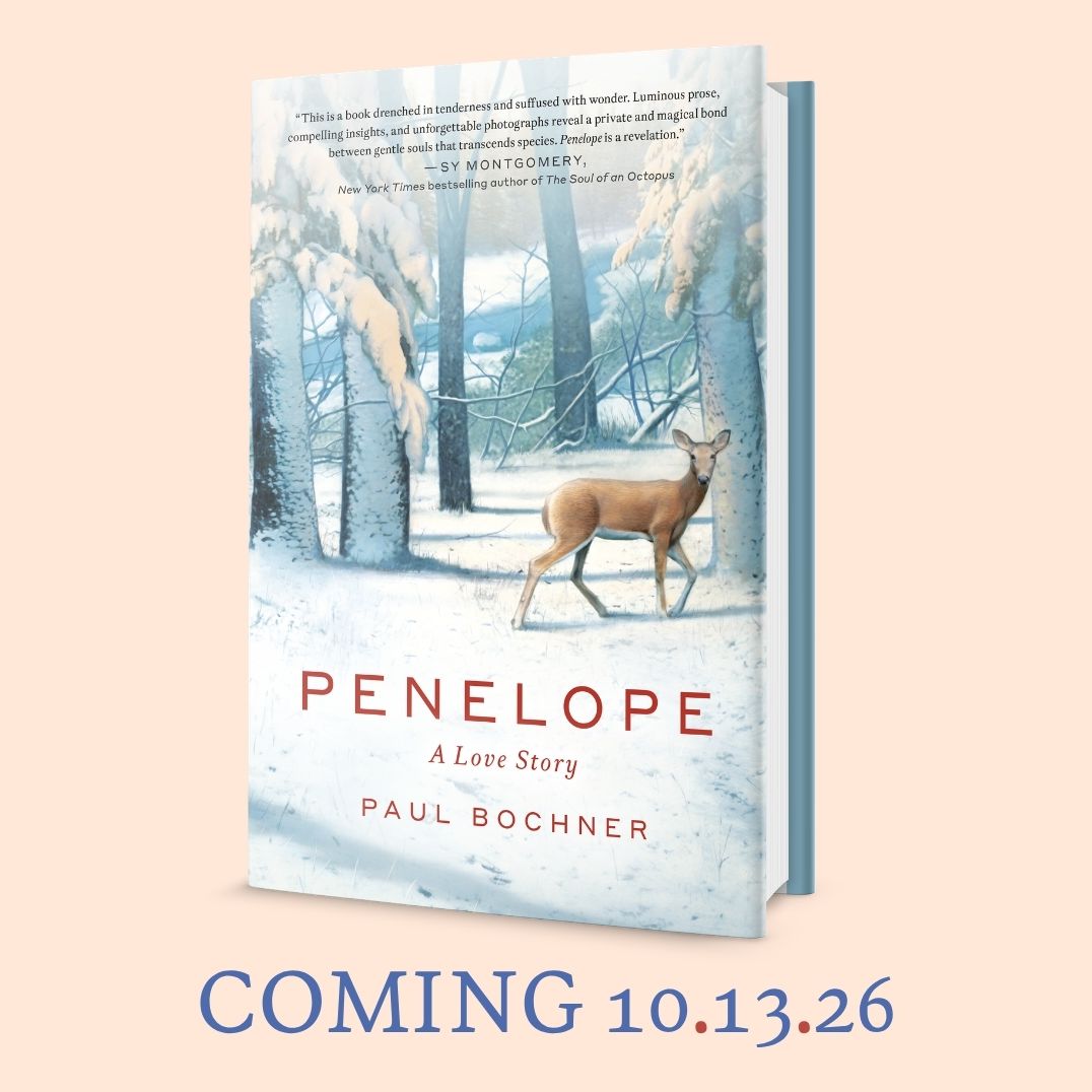 Penelope: A Love Story