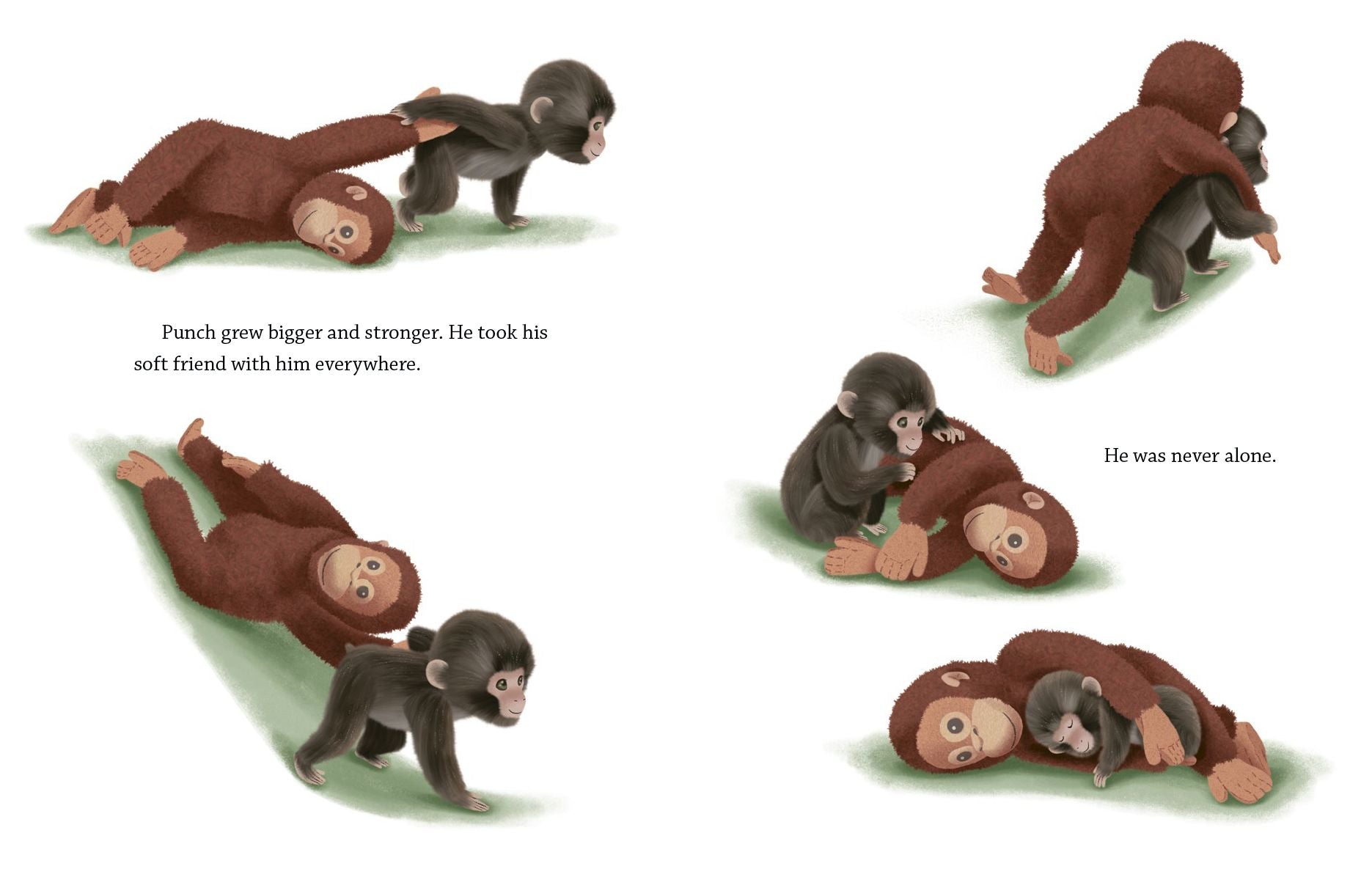 A Monkey Named Punch
