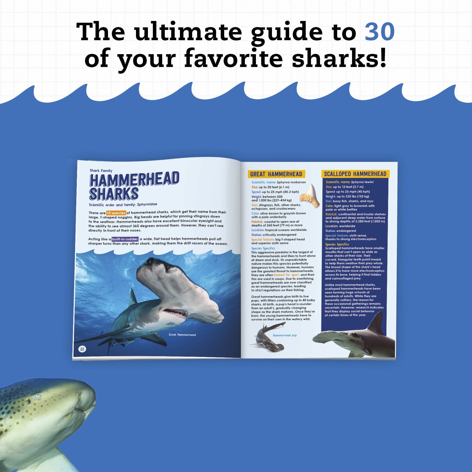 Klutz STEAM Lab Shark-tastic Teeth!