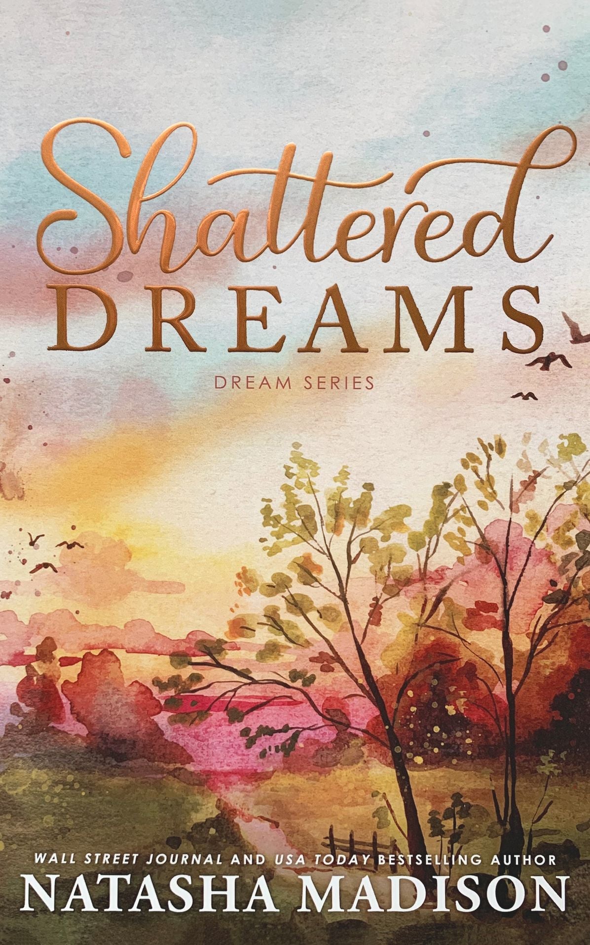 Shattered Dreams