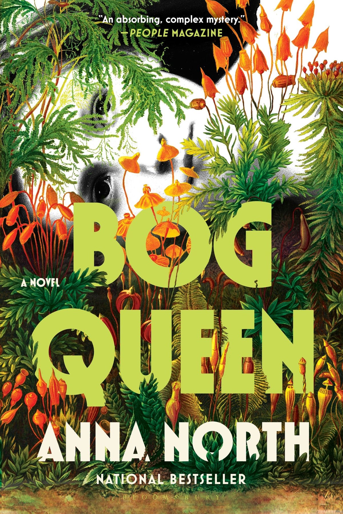 Bog Queen: A Novel