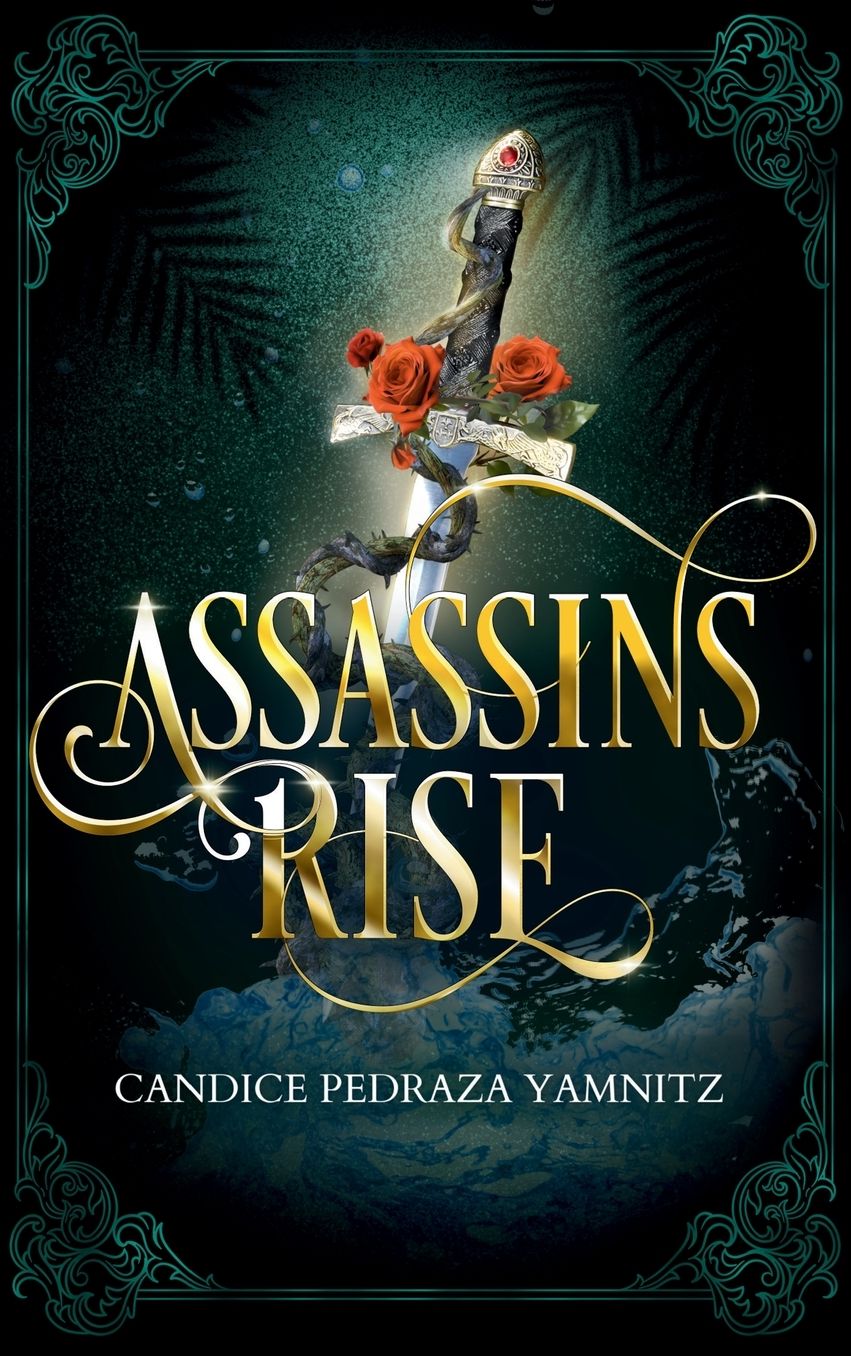 Assassins Rise