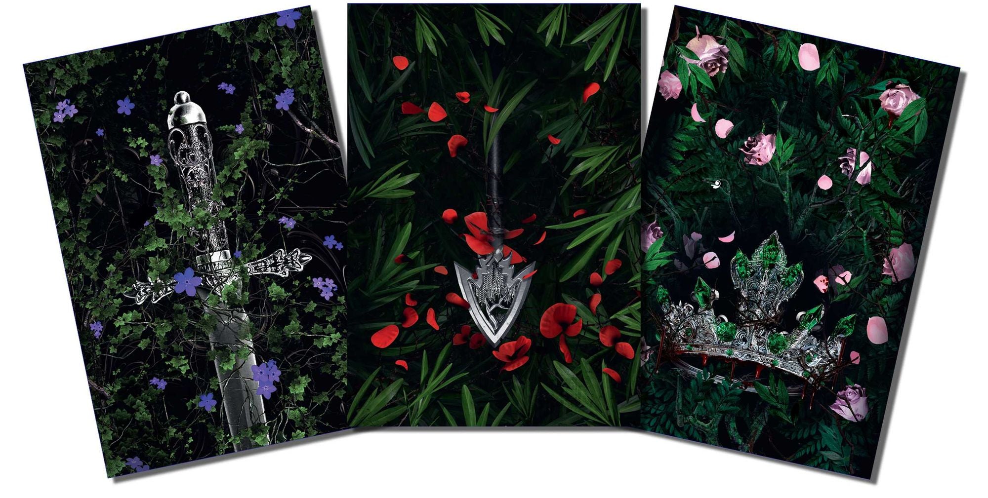 Lauren Roberts: Powerless Trilogy Notebook Boxed Set (Set of 3)