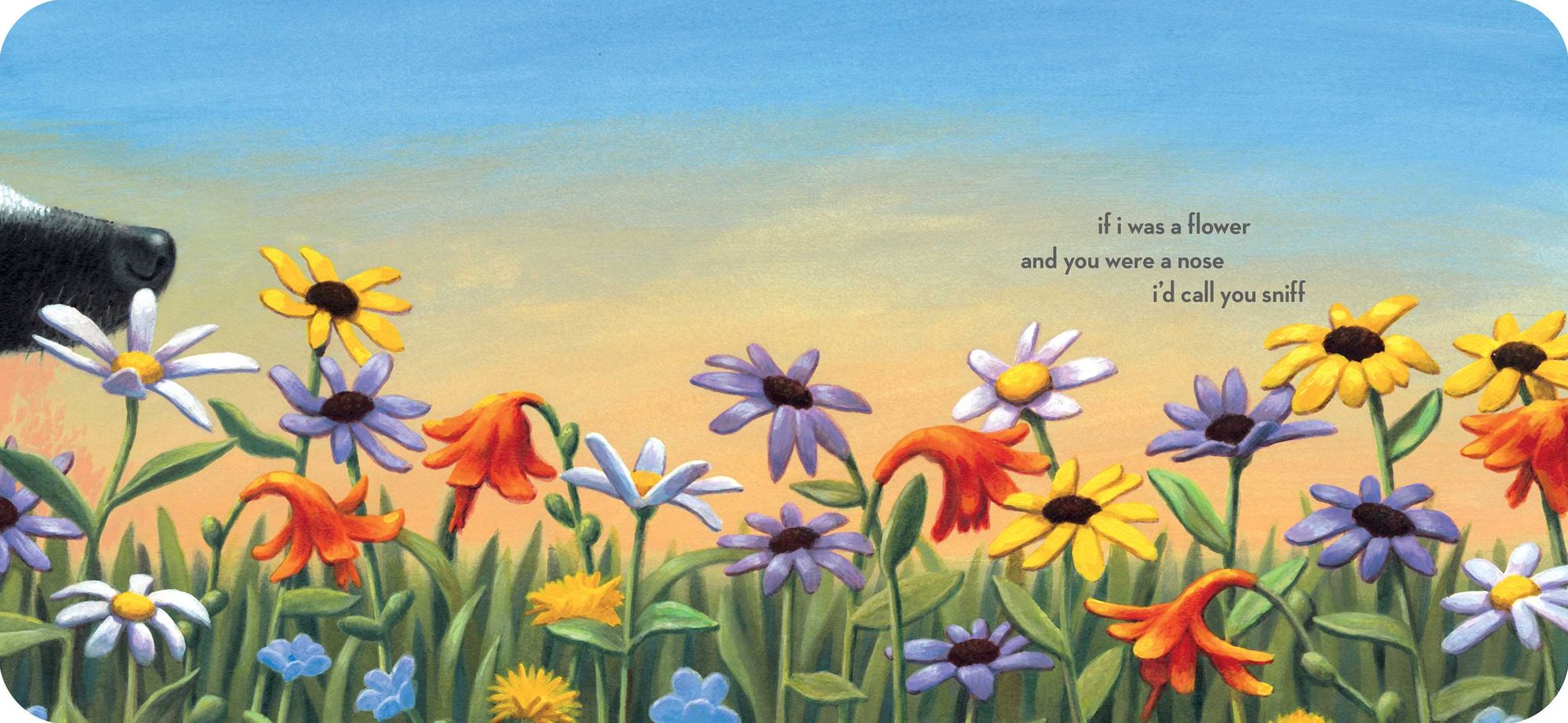 If I Was the Sunshine