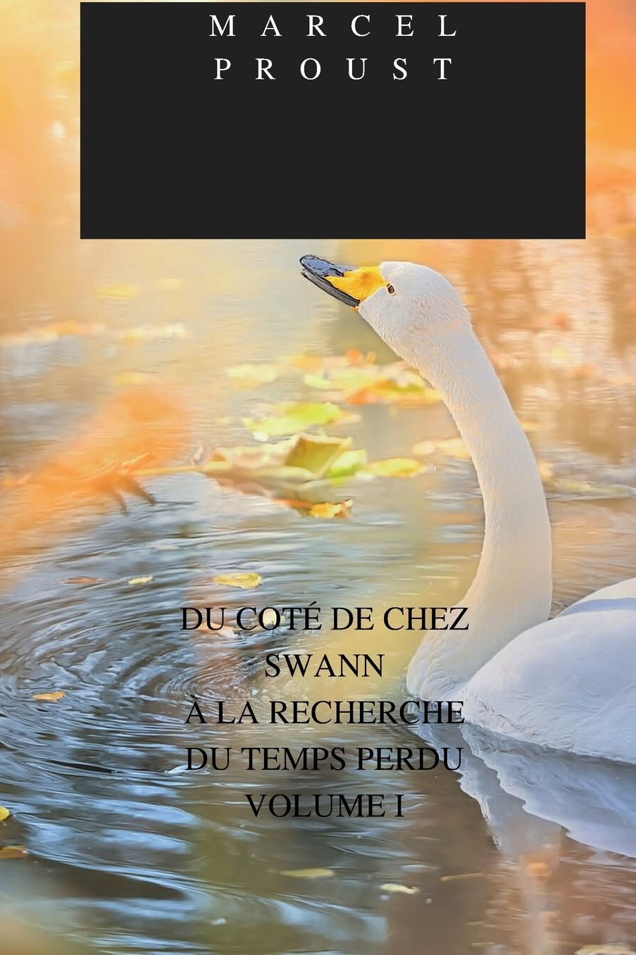 DU COTÉ DE CHEZ SWANN