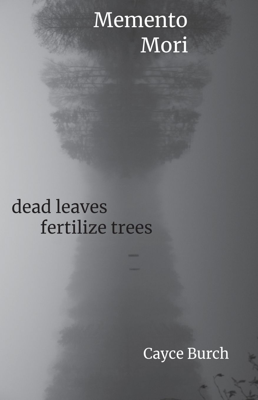 Memento Mori: dead leaves fertilize trees