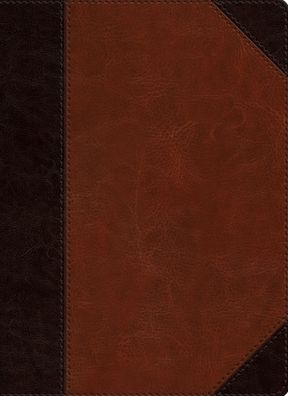 ESV Single Column Journaling Bible (TruTone, Brown/Cordovan, Portfolio Design)
