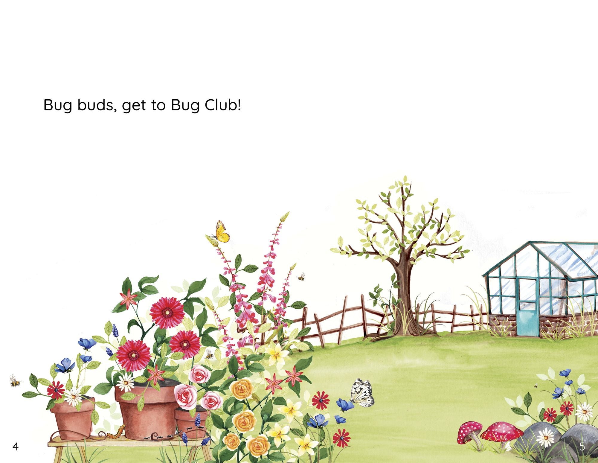 Bug Club