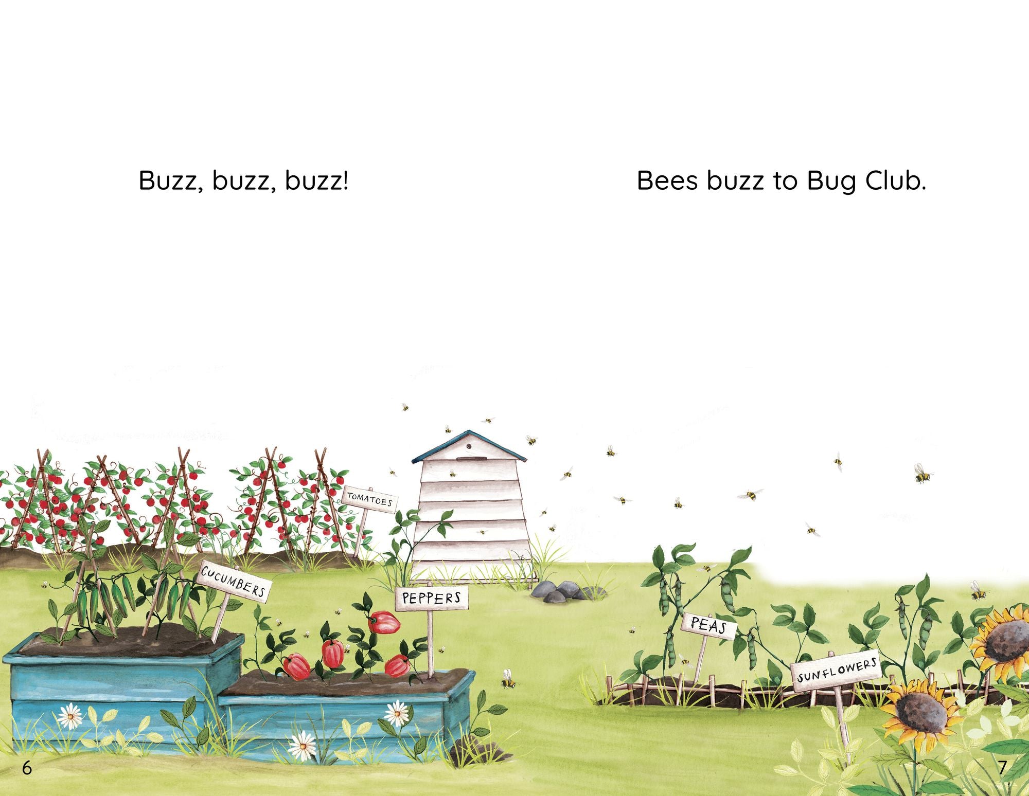 Bug Club